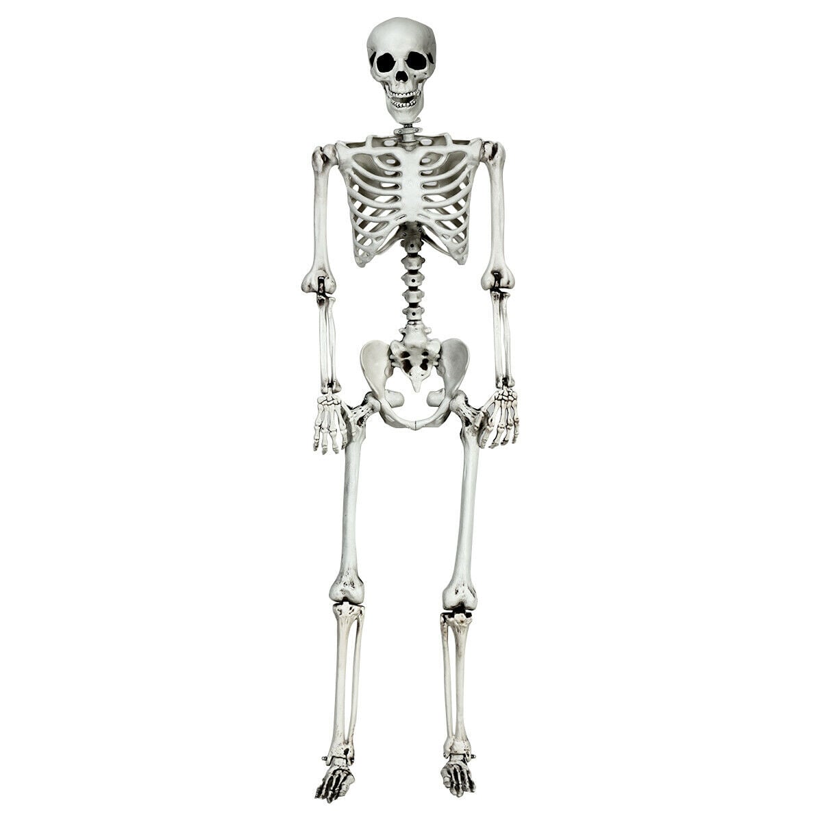 5.4 Feet Halloween Skeleton Life Size Realistic Full Body Hanging-Halloween-DECOROLALA