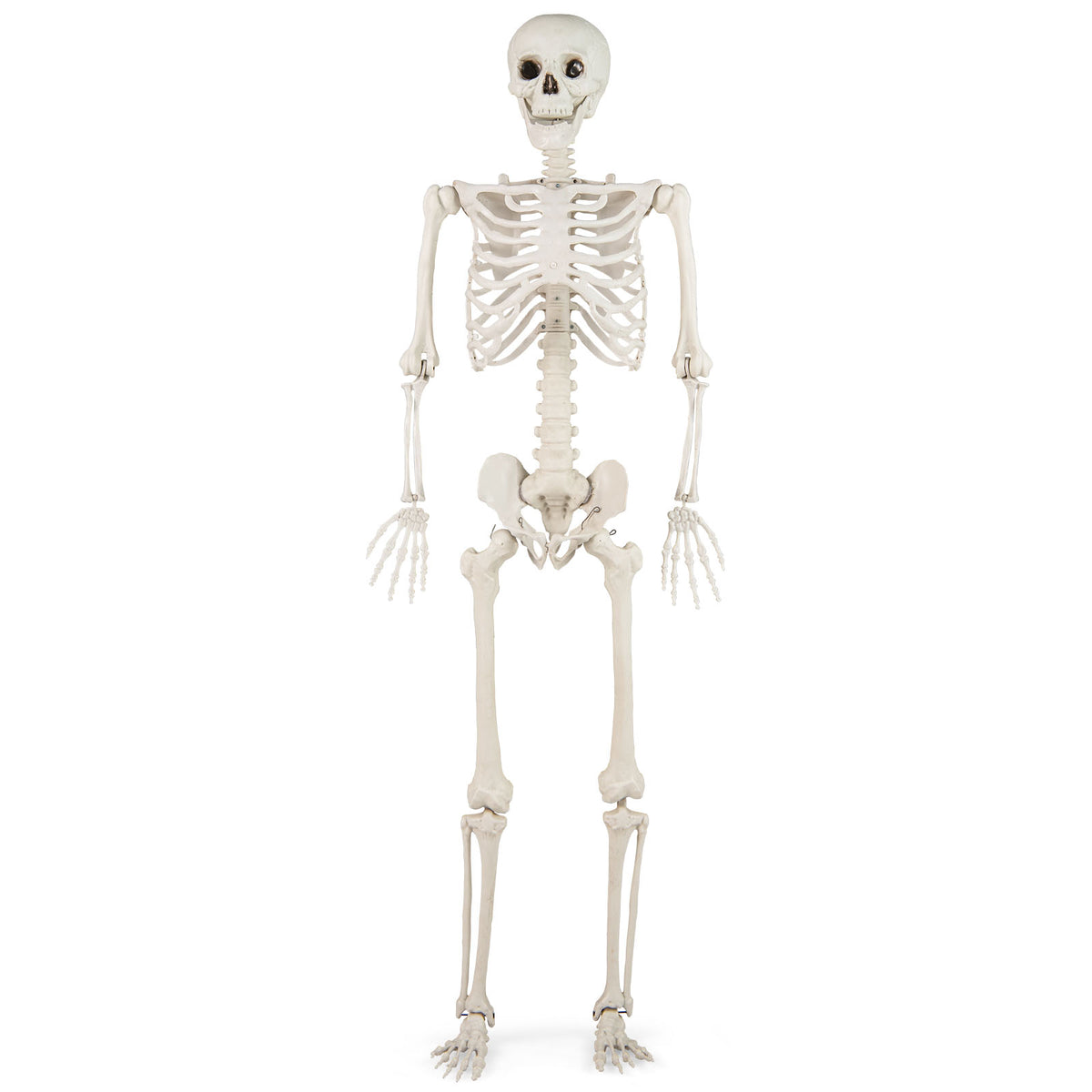 5.4 Ft Posable Halloween Skeleton Decoration - Life-Size White-Halloween-DECOROLALA