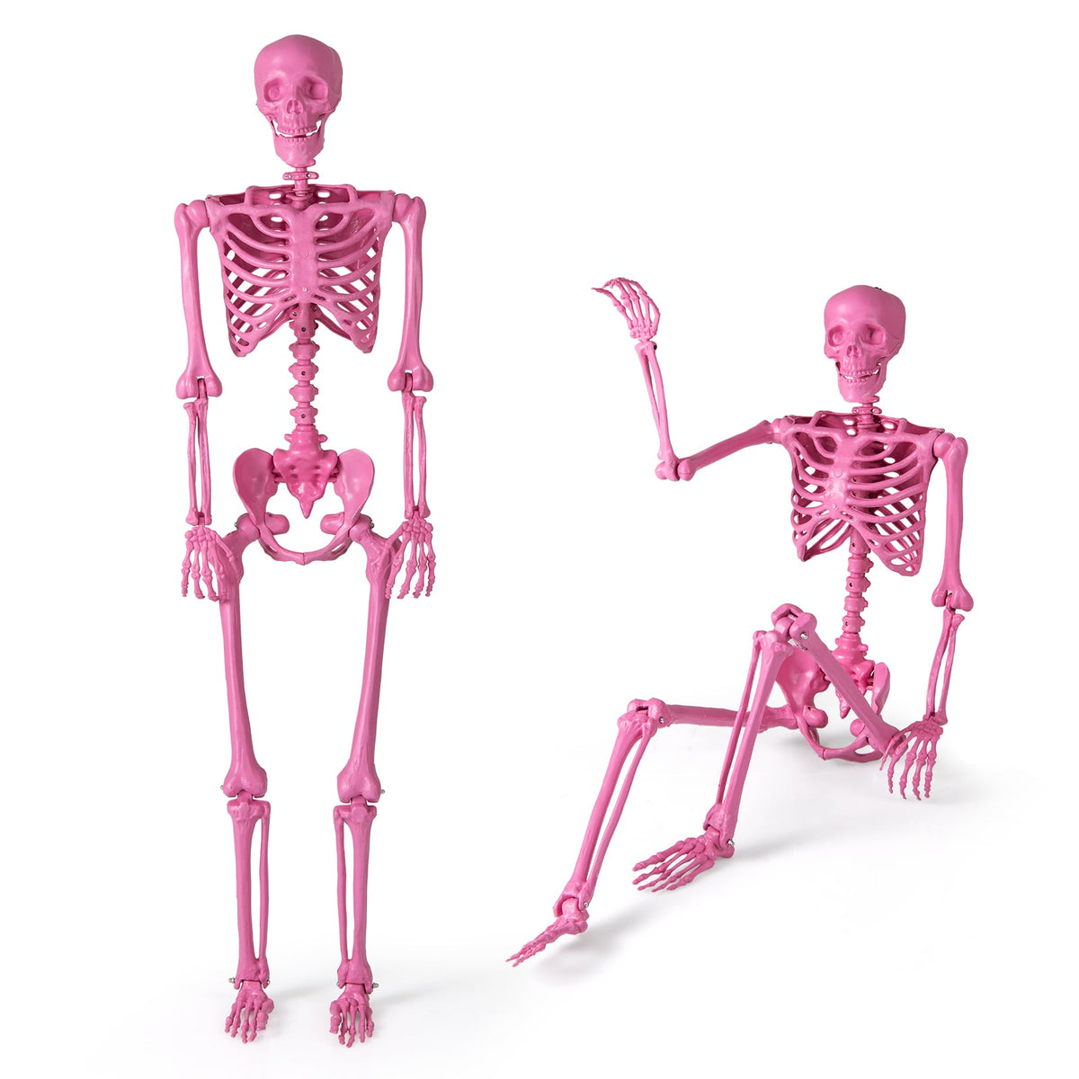 5.5 FT Life-Size Halloween Poseable Skeleton Pink Movable Joints-Halloween-DECOROLALA