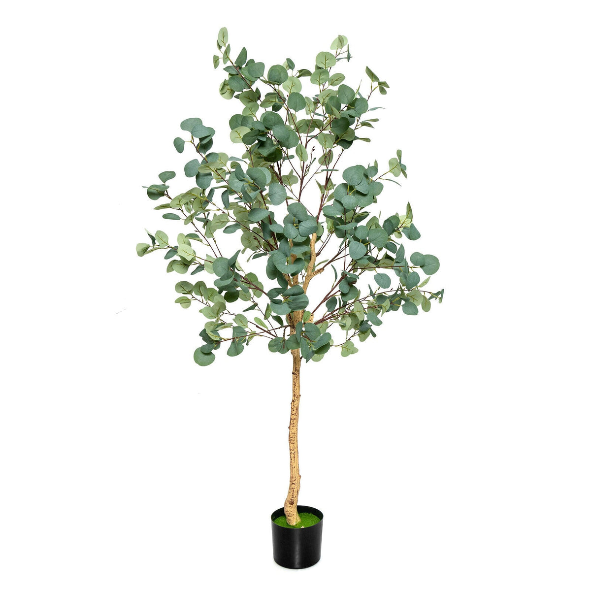 5.5 Feet Artificial Eucalyptus Tree with 517 Silver Dollar Leaves-1 Pack-Artificial Plants-DECOROLALA