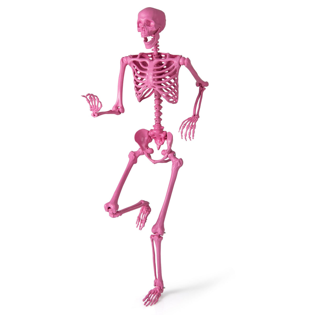 5.5 ft Life-Size Poseable Halloween Skeleton - Pink-Halloween Decorations-DECOROLALA