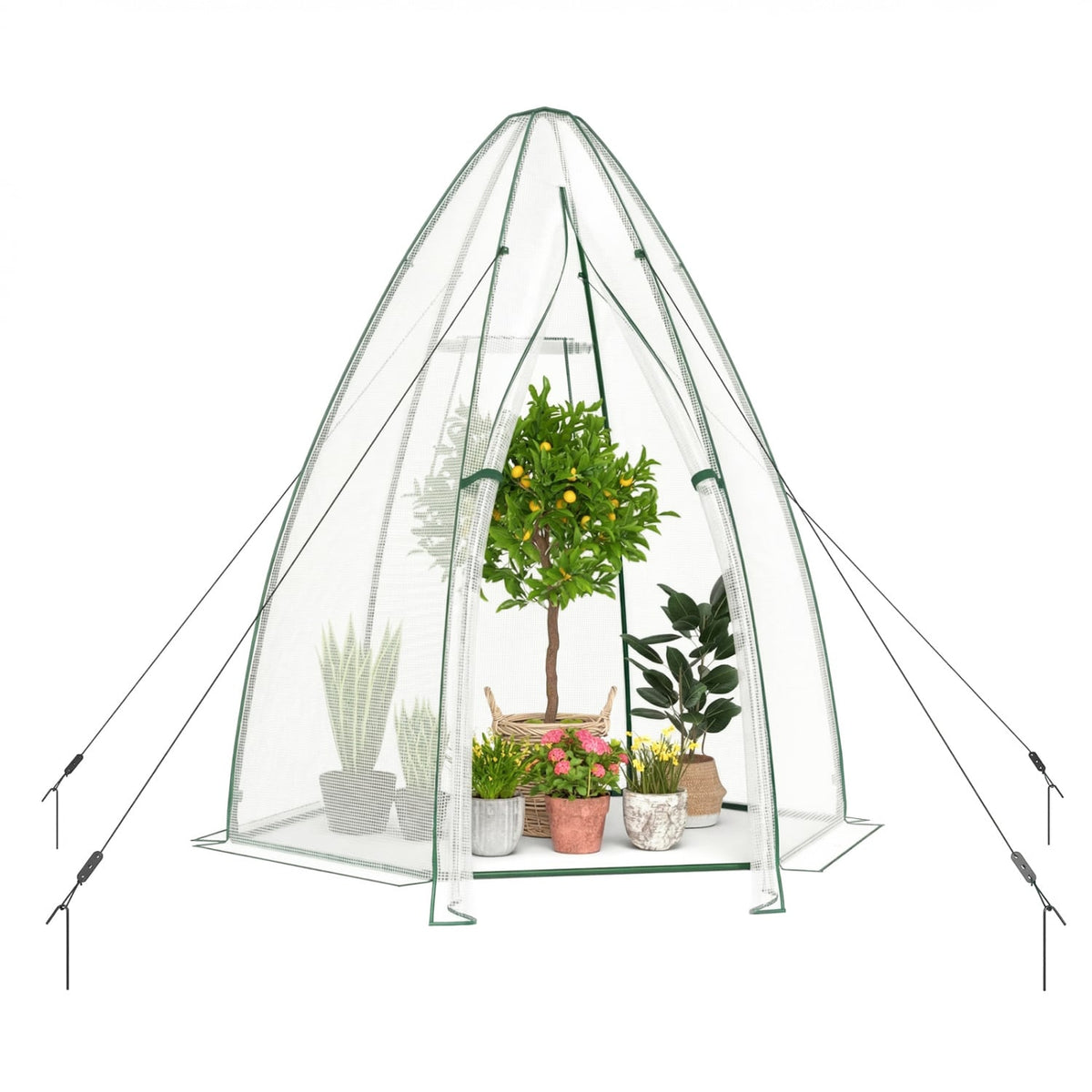 5.5 x 5.5 x 6 Feett Portable Garden Mini Greenhouse with All-Weather PE Cover-White-Greenhouses-DECOROLALA