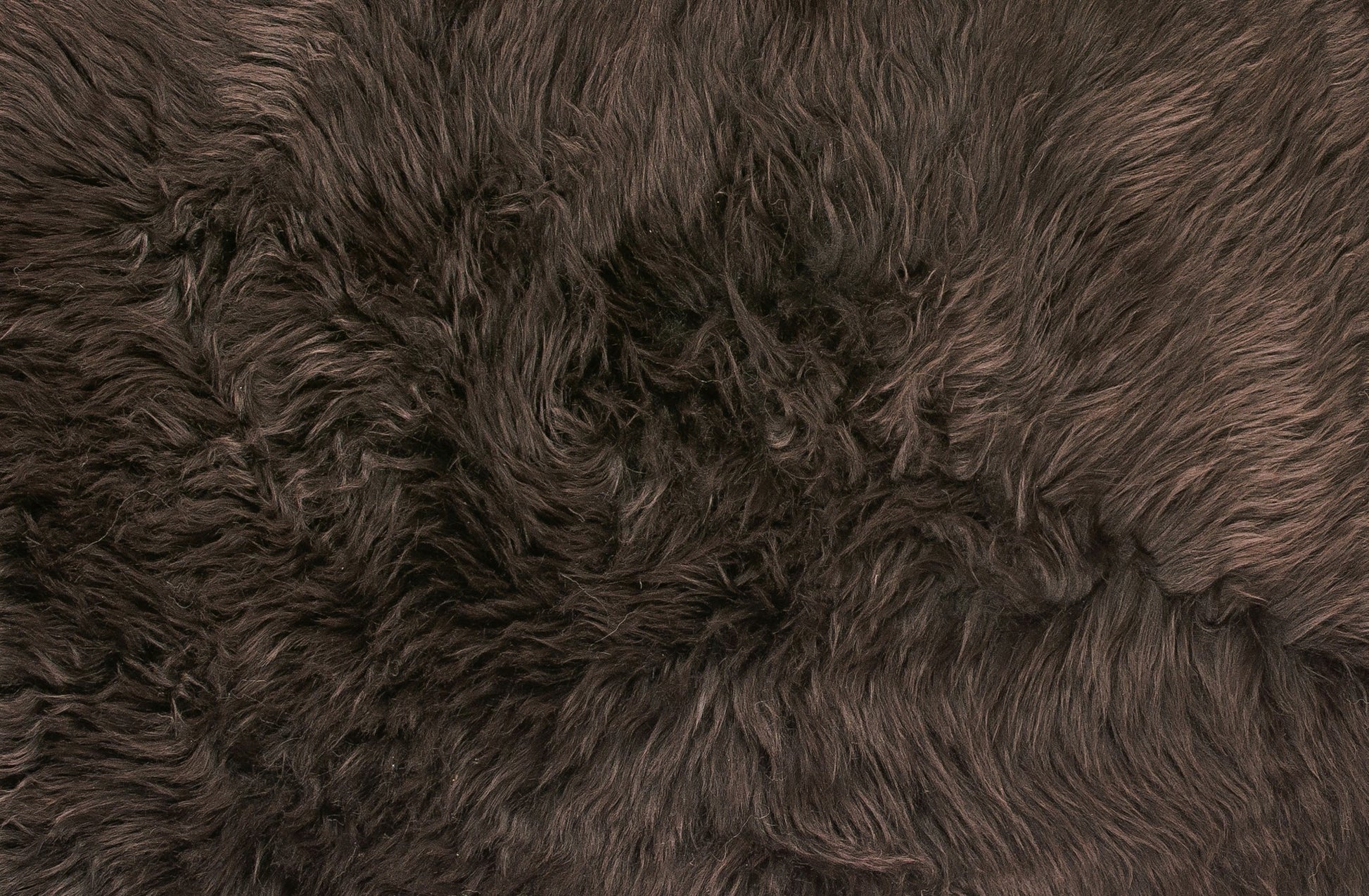 6' Black Genuine Sheepskin Animal Print Shag Area Rug-Area Rugs-DECOROLALA
