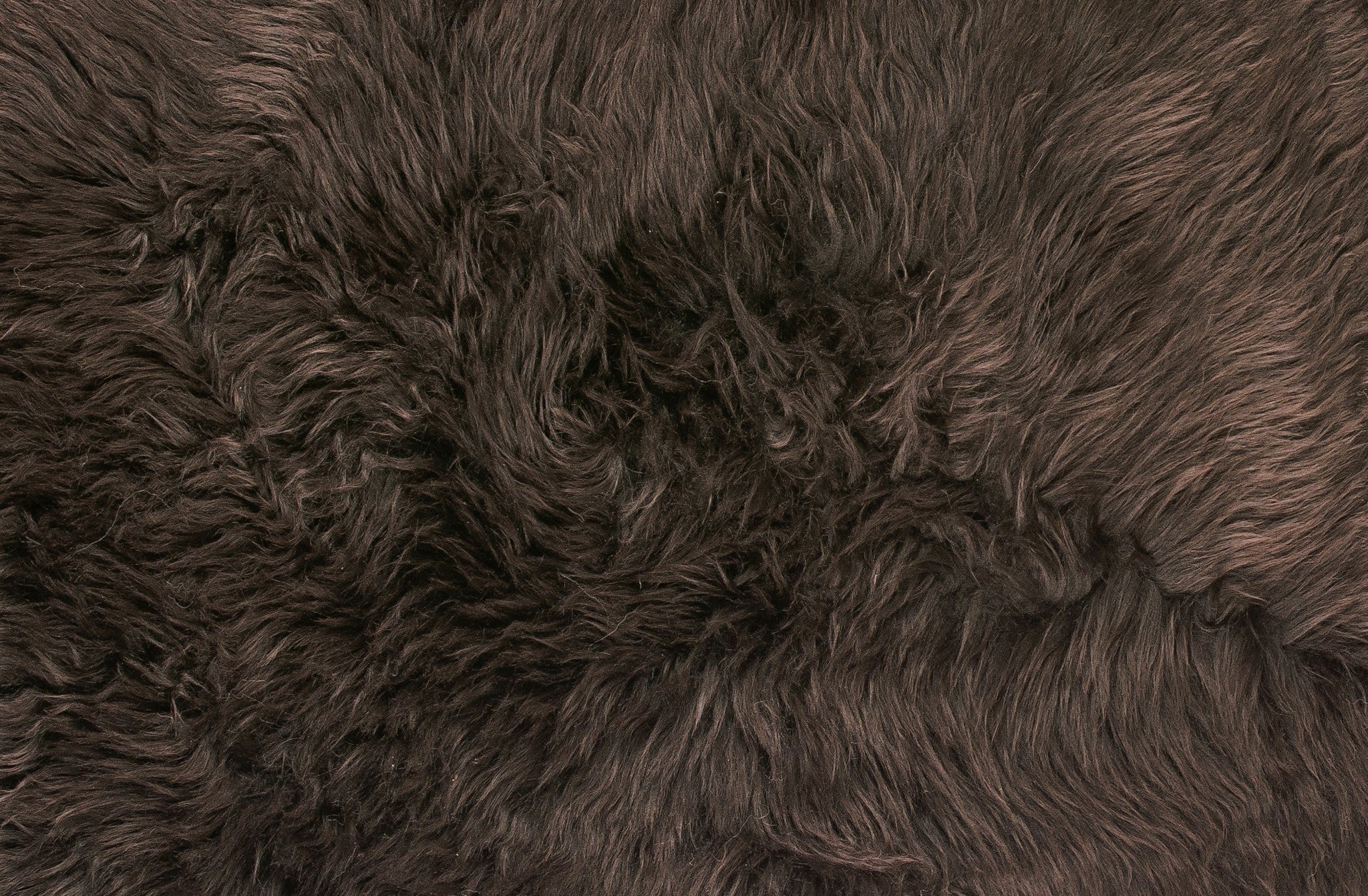 6' Black Genuine Sheepskin Animal Print Shag Area Rug-Area Rugs-DECOROLALA