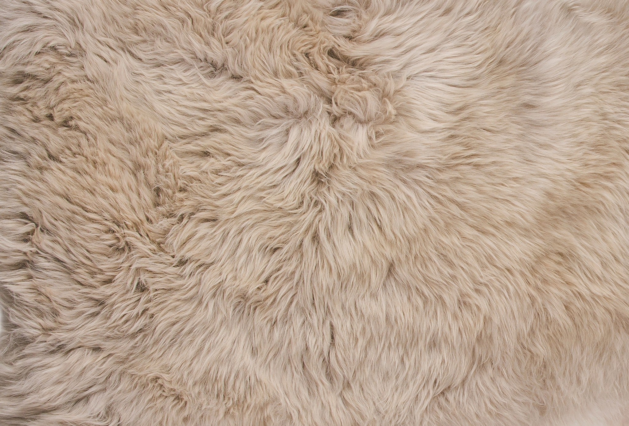 6' Black Genuine Sheepskin Animal Print Shag Area Rug-Area Rugs-DECOROLALA