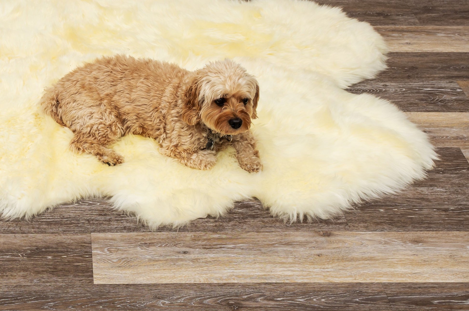 6' X 6' Natural Sheepskin Non Skid Area Rug-Area Rugs-DECOROLALA