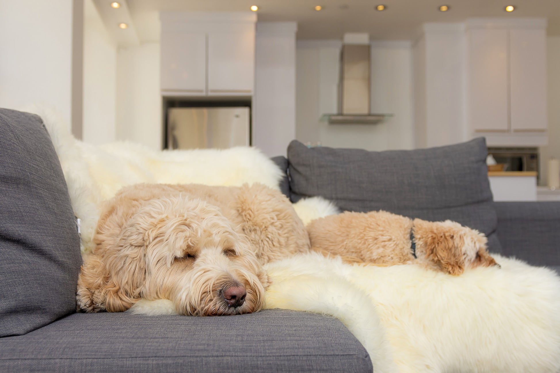 6' X 6' Natural Sheepskin Non Skid Area Rug-Area Rugs-DECOROLALA