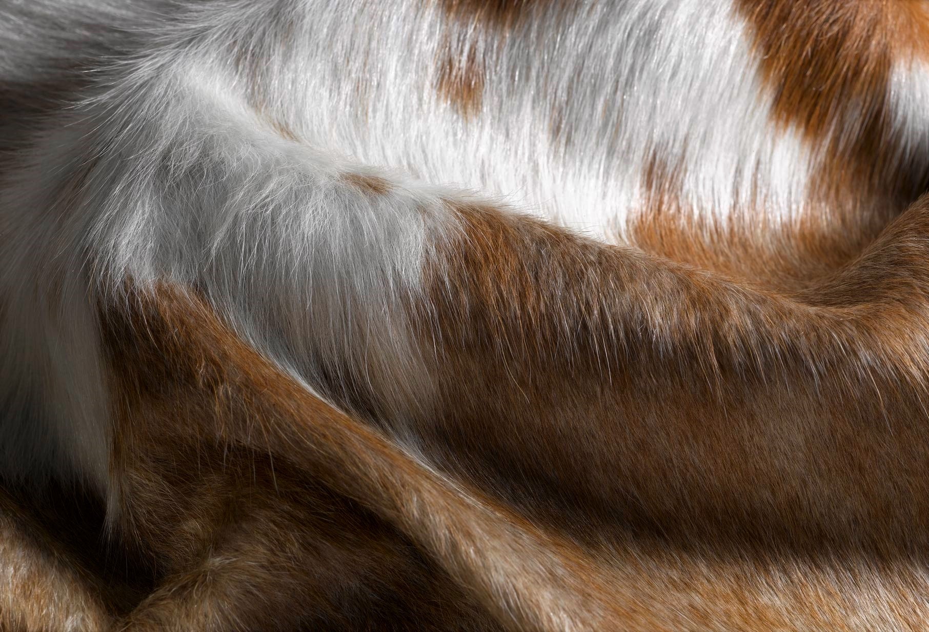 6' X 7' Black And White Cowhide Animal Print Area Rug-Area Rugs-DECOROLALA