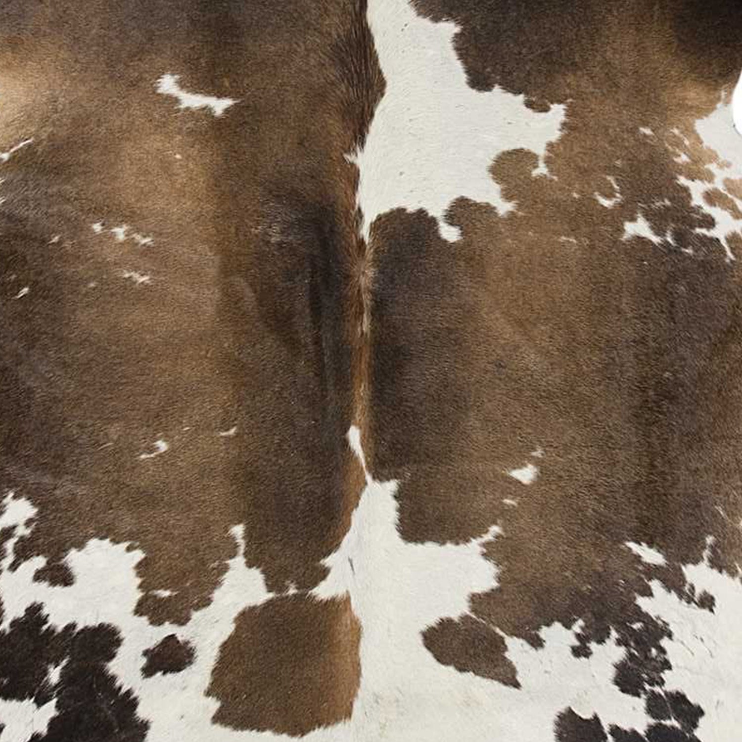 6' X 7' Black And White Cowhide Animal Print Area Rug-Area Rugs-DECOROLALA