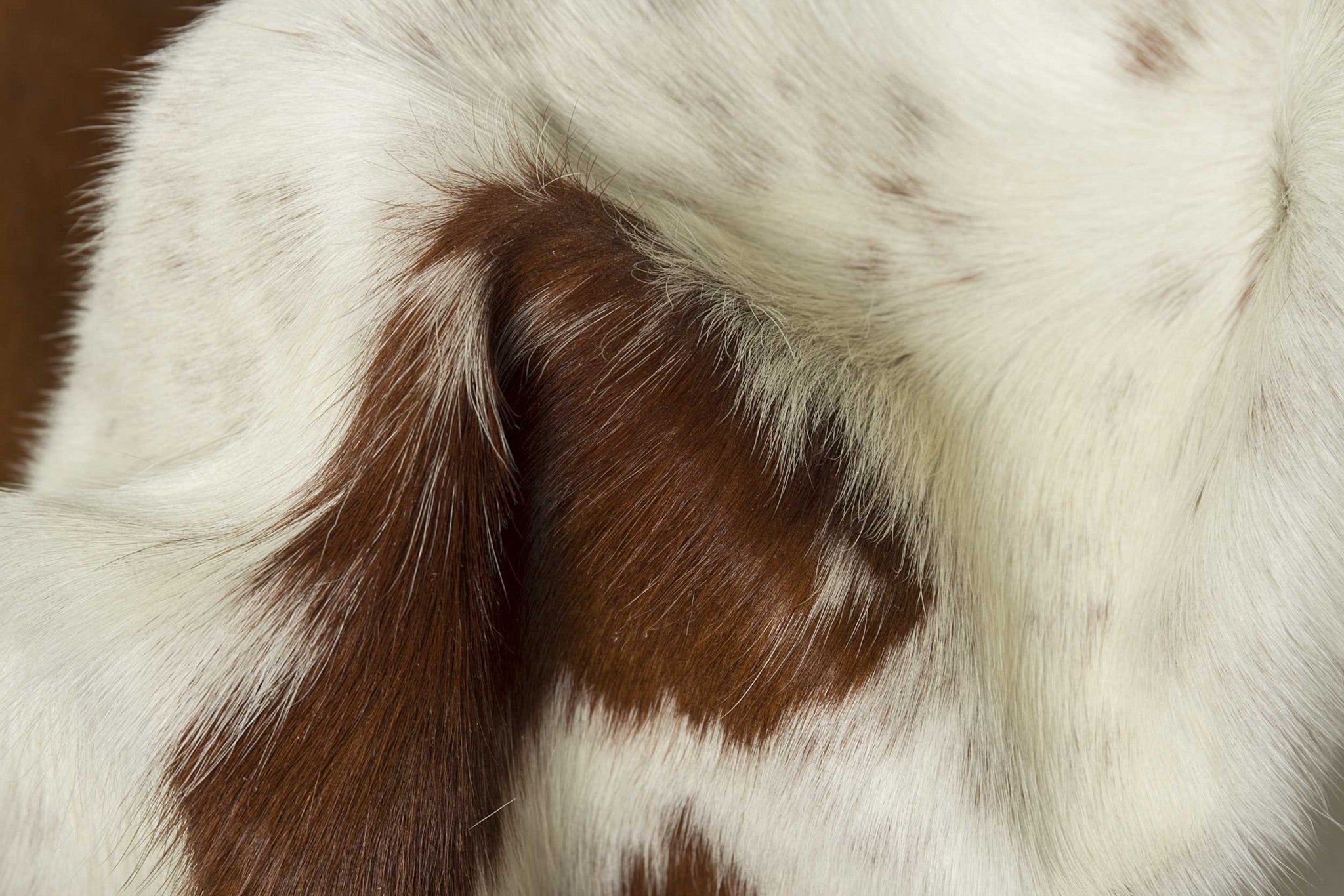 6' X 7' Black And White Cowhide Cowhide Print Area Rug-Area Rugs-DECOROLALA