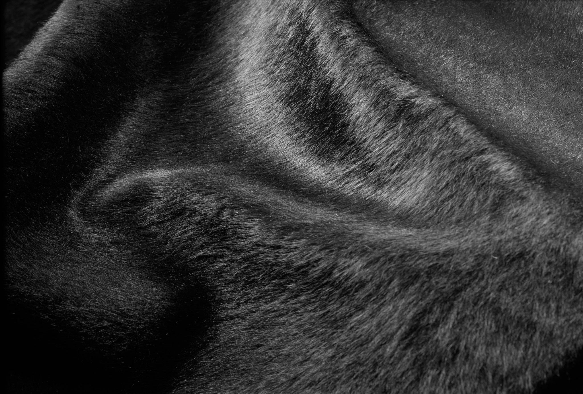 6' X 7' Black Cowhide Area Rug-Area Rugs-DECOROLALA