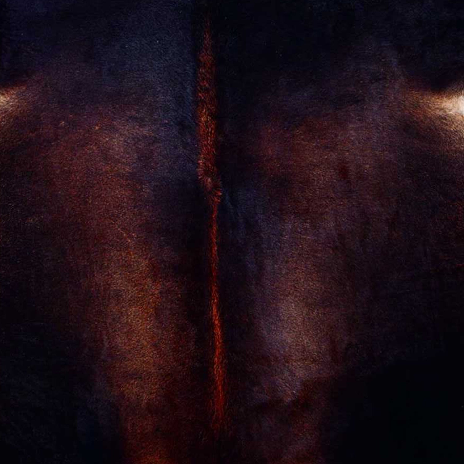 6' X 7' Brown And Black Cowhide Cowhide Print Area Rug-Area Rugs-DECOROLALA