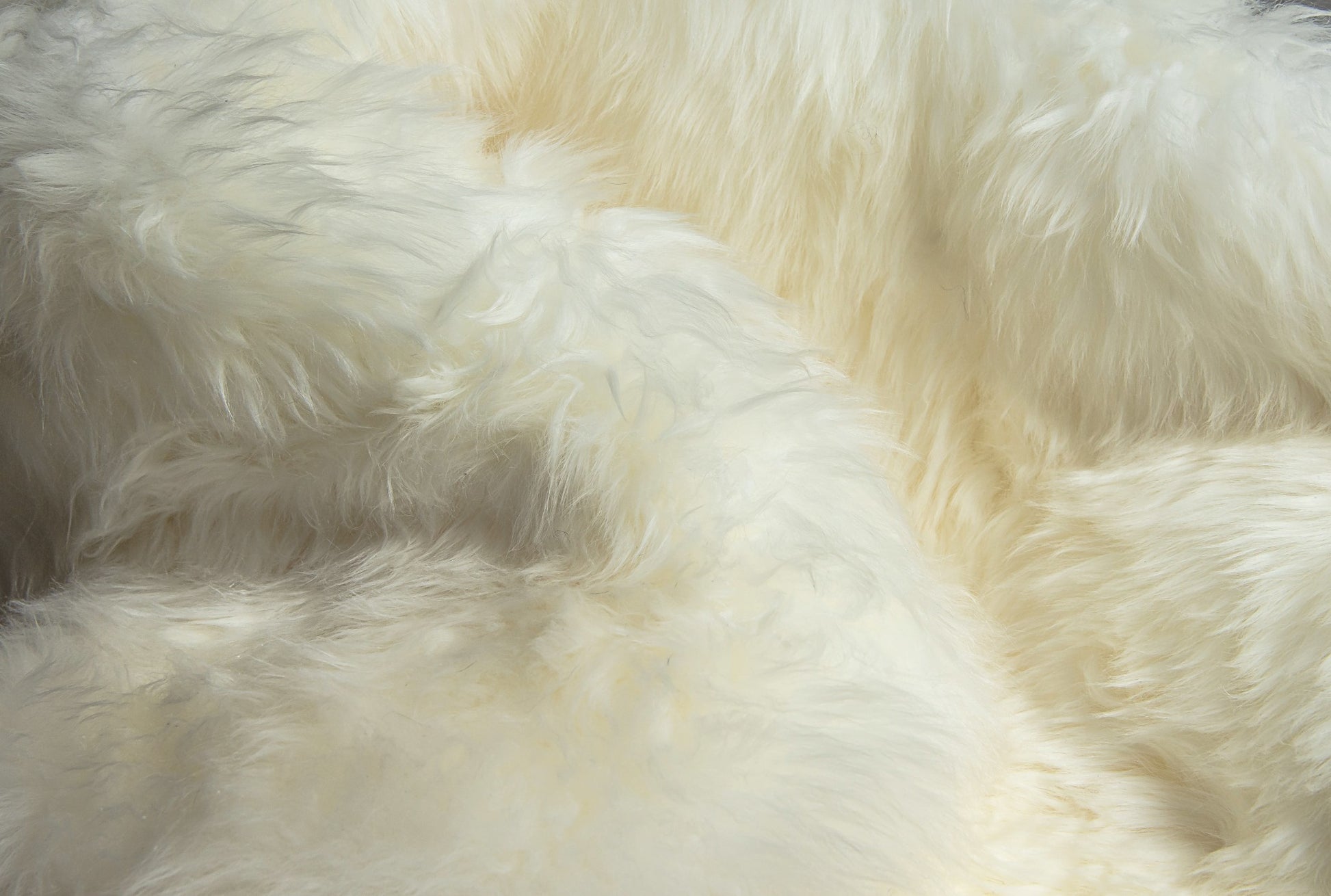 6' X 8' Natural New Zealand Sheepskin Area Rug-Area Rugs-DECOROLALA