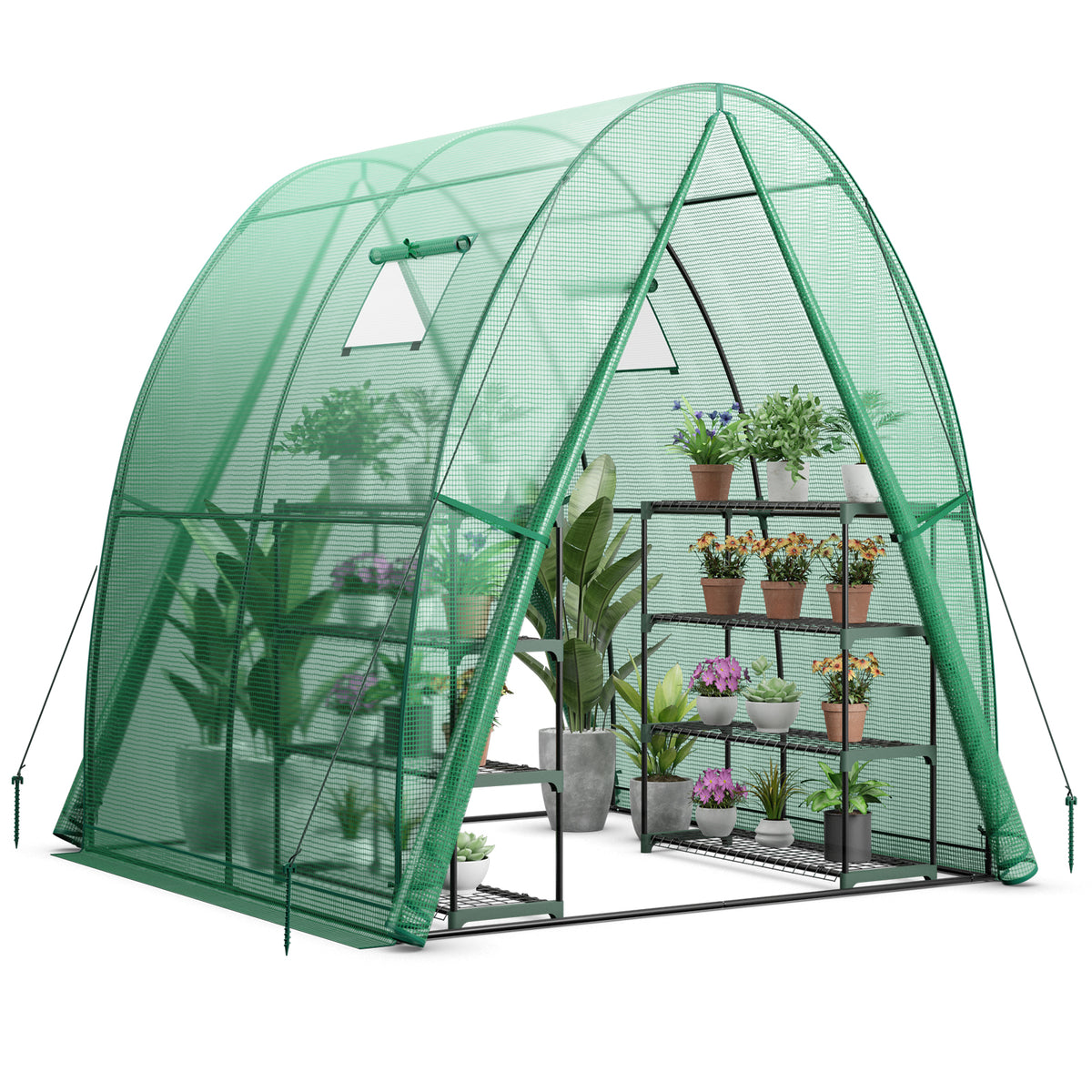 6 x 6 x 6.6 FT Outdoor Wall-in Tunnel Greenhouse-Green-Greenhouses-DECOROLALA