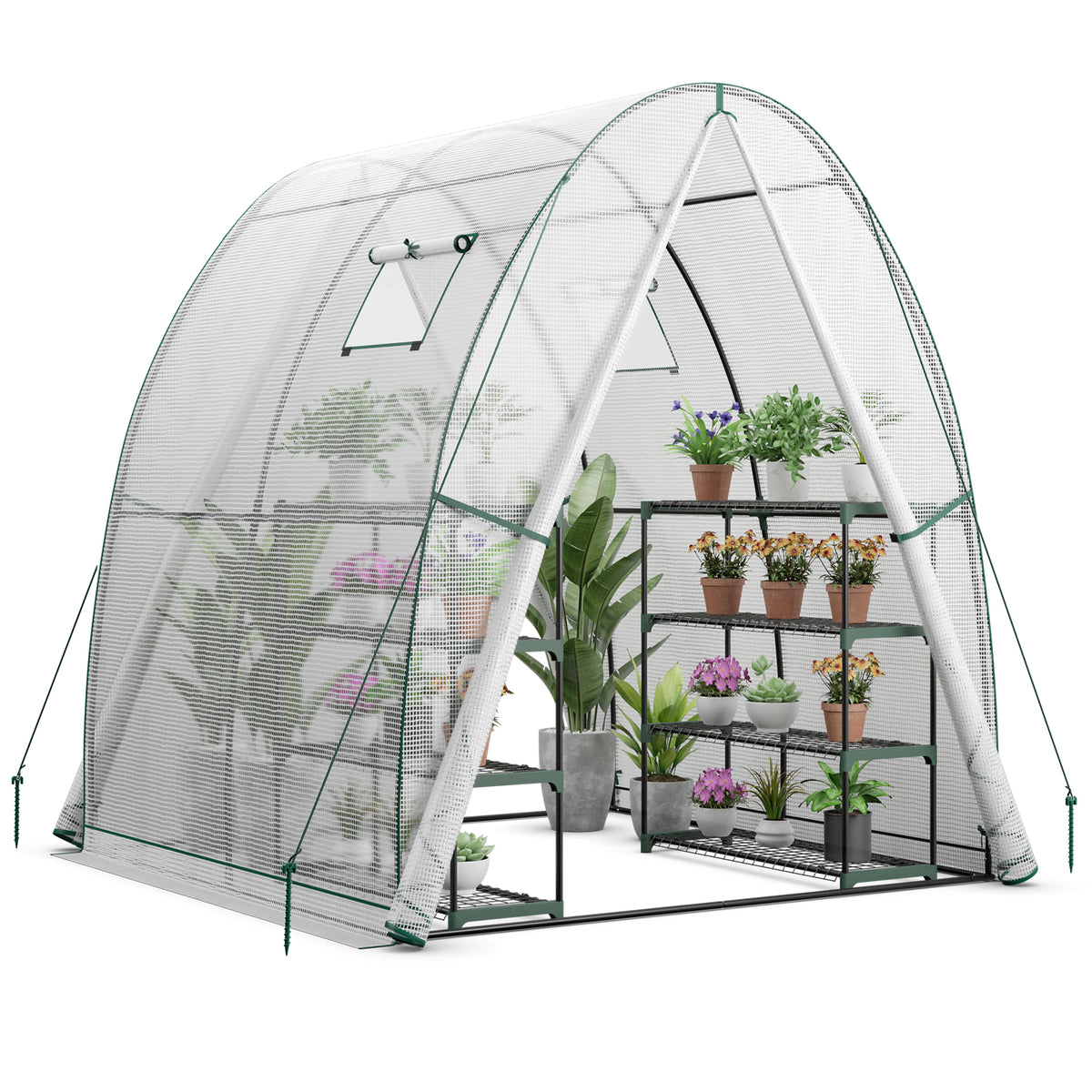6 x 6 x 6.6 FT Outdoor Wall-in Tunnel Greenhouse-White-Greenhouses-DECOROLALA