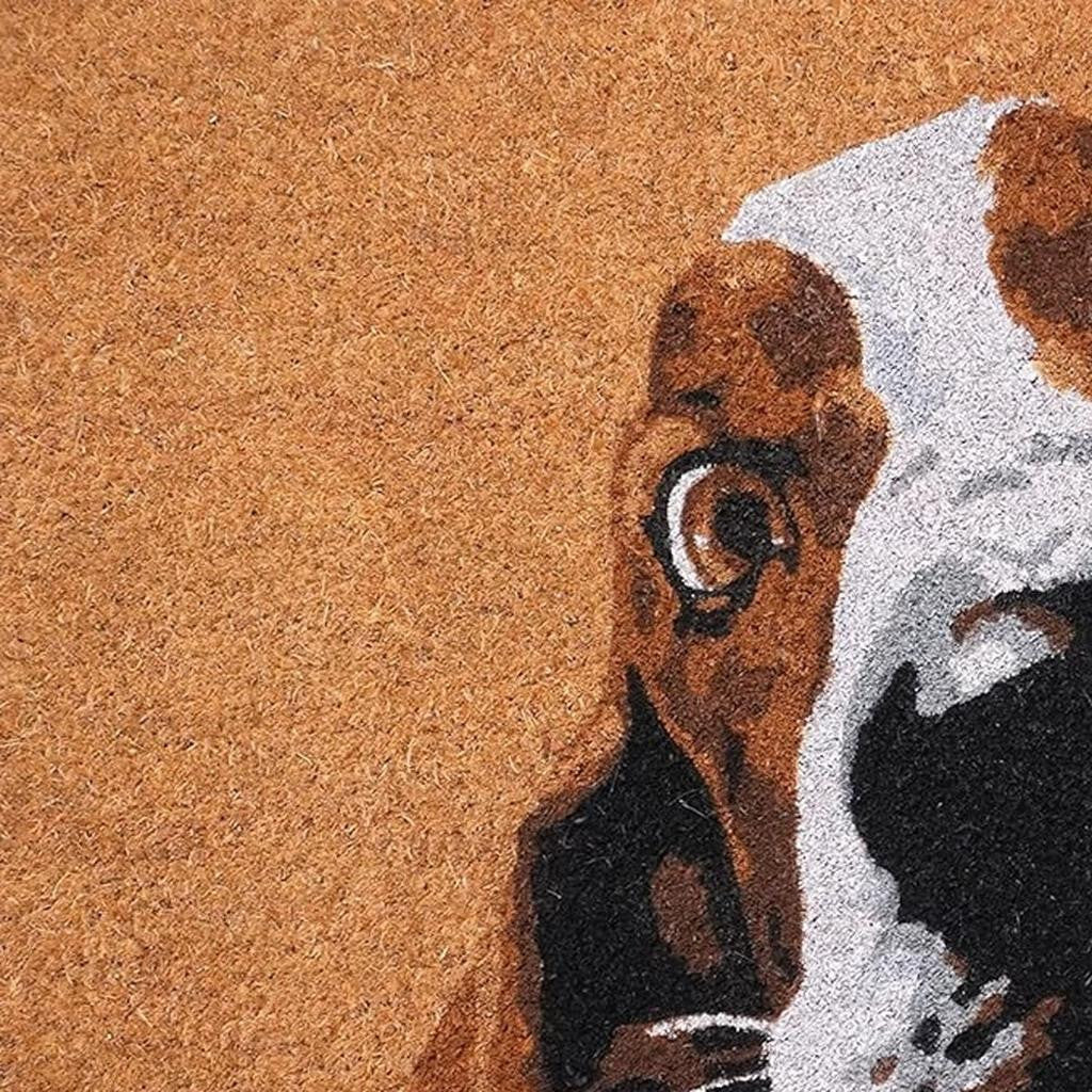 17" X 29" Natural And Red Coir Dog Outdoor Door Mat-2