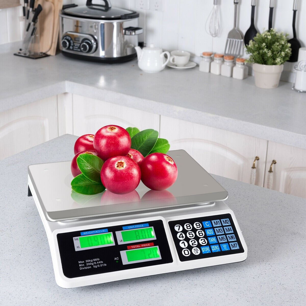 66 lbs Electronic Price Computing Scale with LCD Screen Display-Kitchen Tools-DECOROLALA