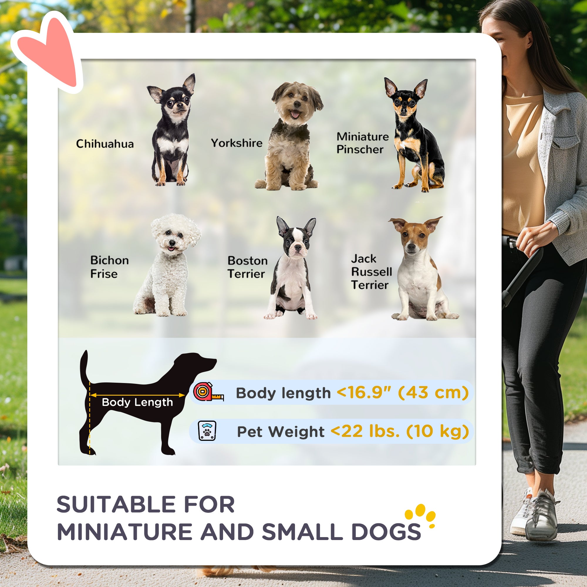 Foldable Cat Dog Travel Carriage, 4 Wheels Pet Stroller with EVA Wheel Brake, 3-stage Canopy, Mesh Window Door, Black