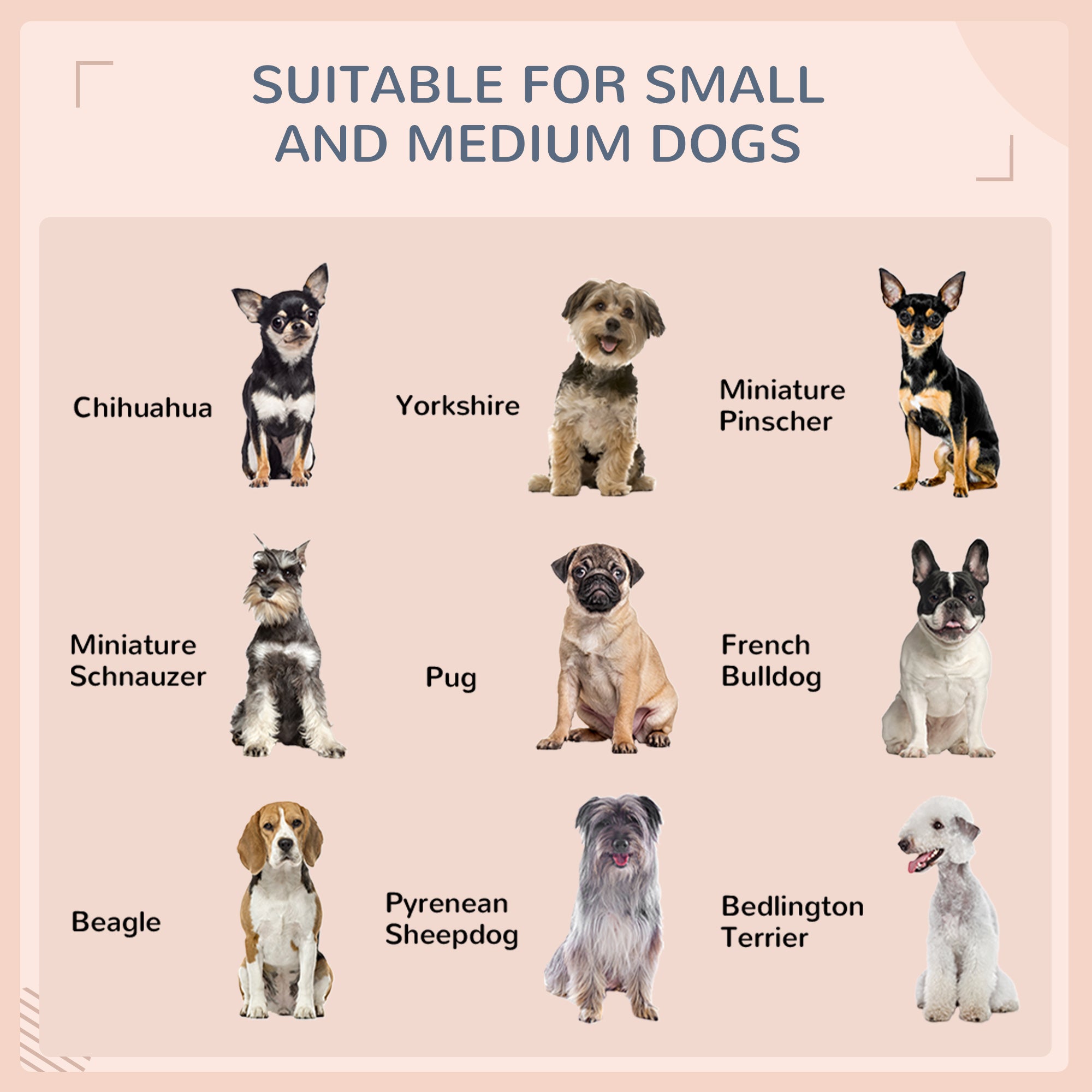 Niche pour chien en rotin avec auvent, panier pour chien en osier avec coussin résistant à l’eau, pour petites et moyennes races, blanc crème