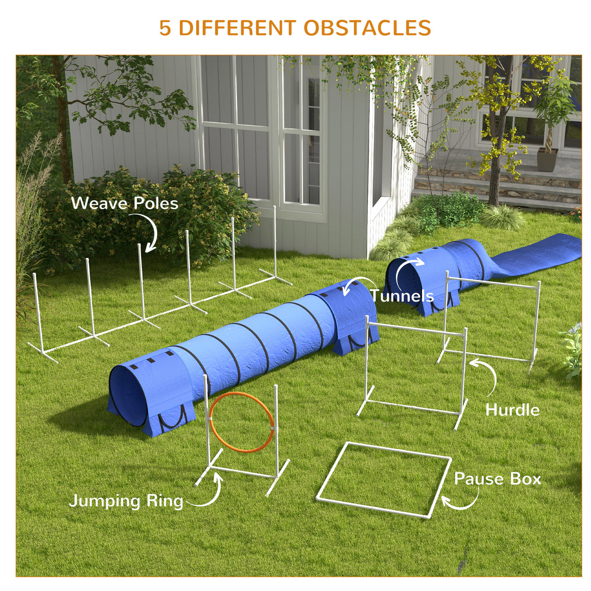 7-Piece Dog Agility Training Kit with Tunnel and Hurdles - Blue-Dogs-DECOROLALA