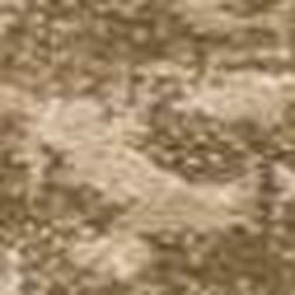 7' X 10' Beige And Tan Floral Medallion Area Rug-Area Rugs-DECOROLALA