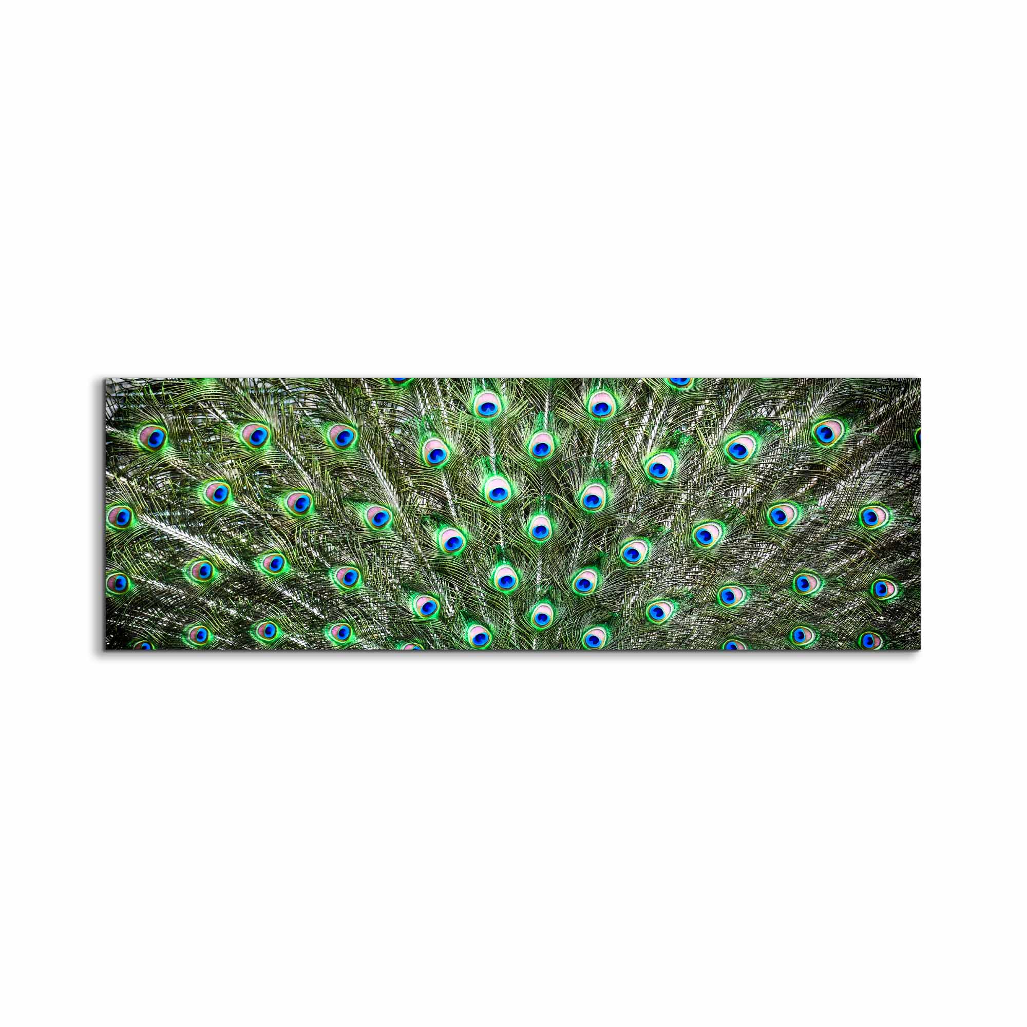 Large Canvas Wall art-Peacock Feathers-Nature Artwork-Wall Decor-DECOROLALA