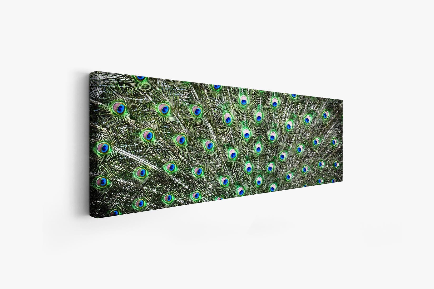 Large Canvas Wall art-Peacock Feathers-Nature Artwork-Wall Decor-DECOROLALA