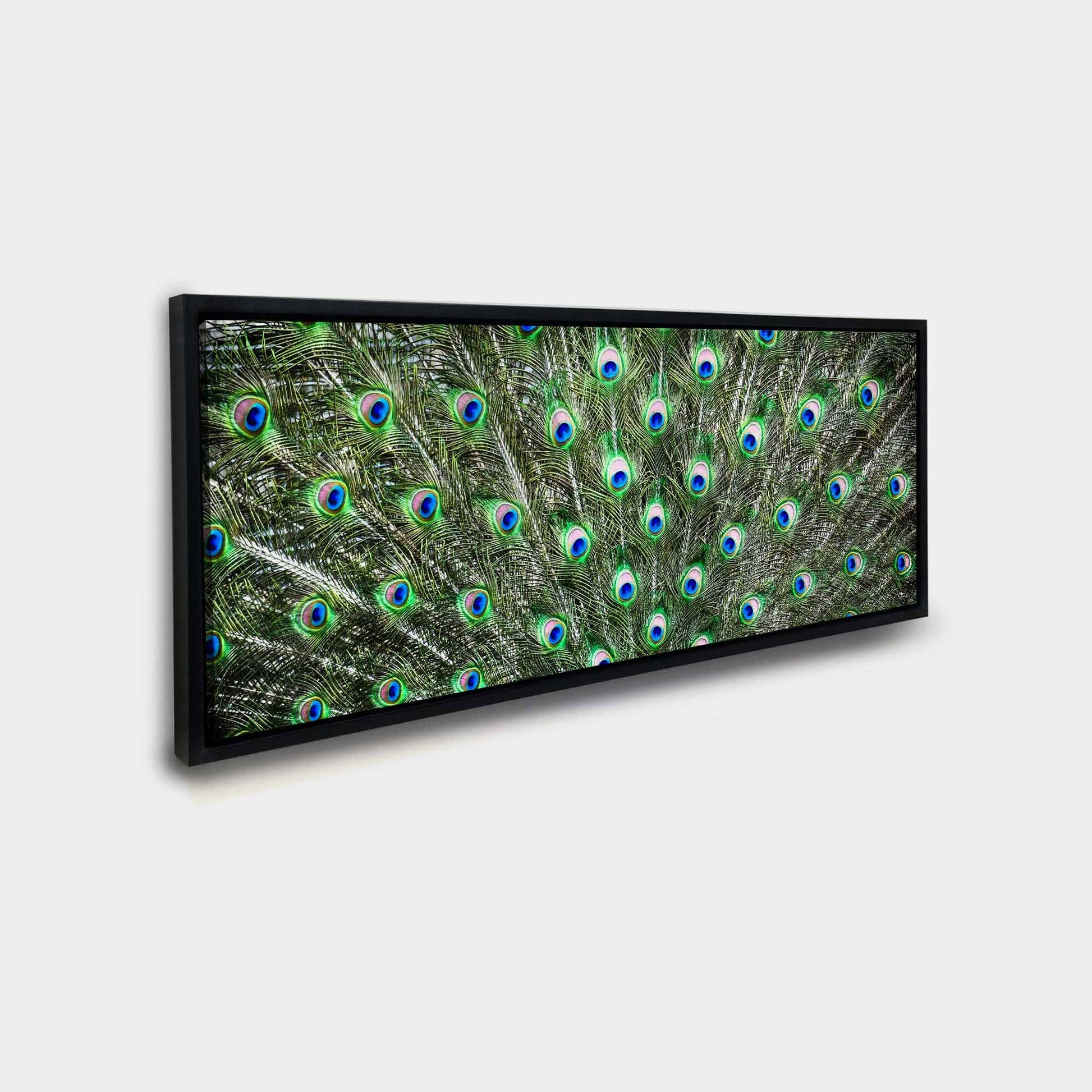 Large Canvas Wall art-Peacock Feathers-Nature Artwork-Wall Decor-DECOROLALA