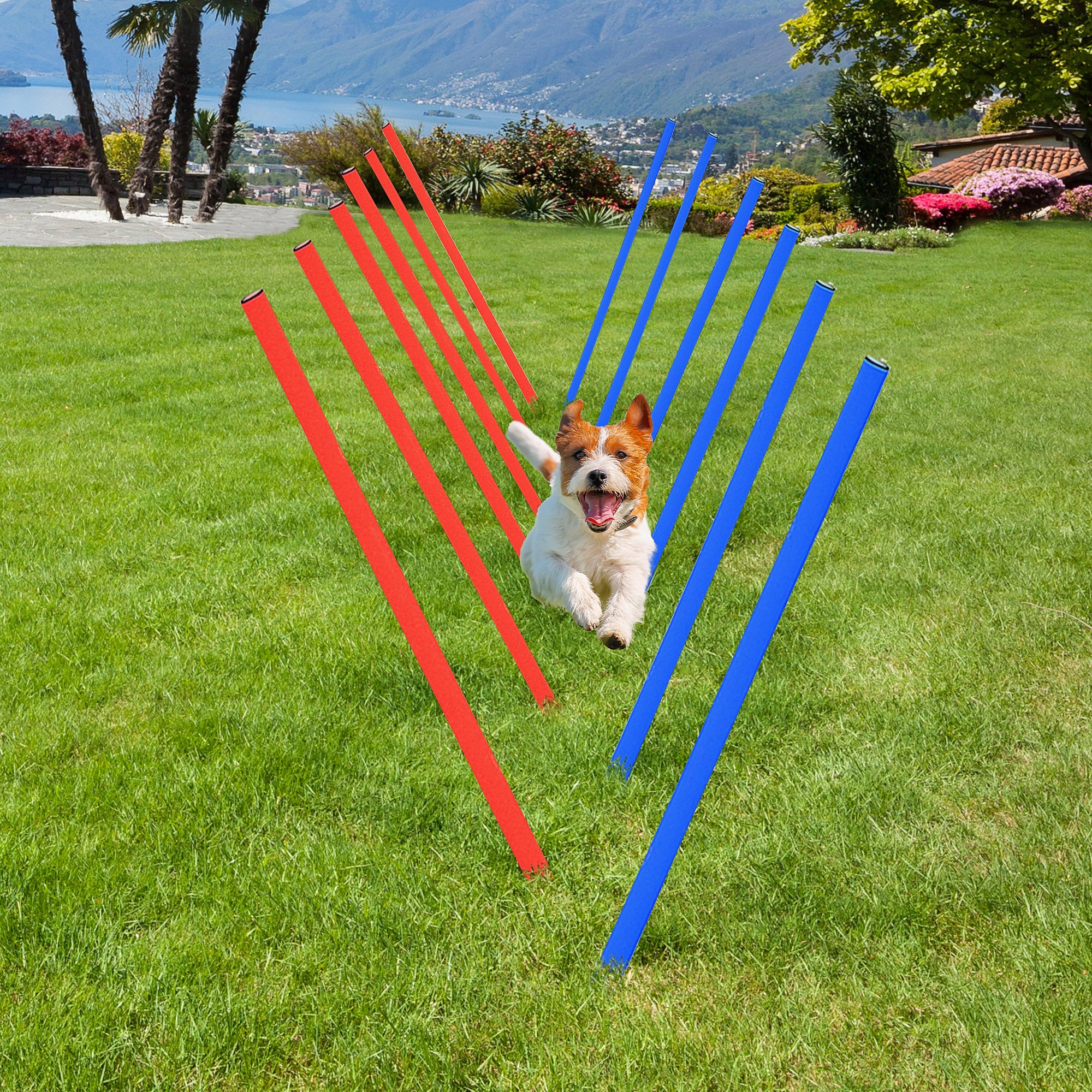 Dog Agility Equipment Set, Portable Dog Agility training equipment for Outdoor Play Run