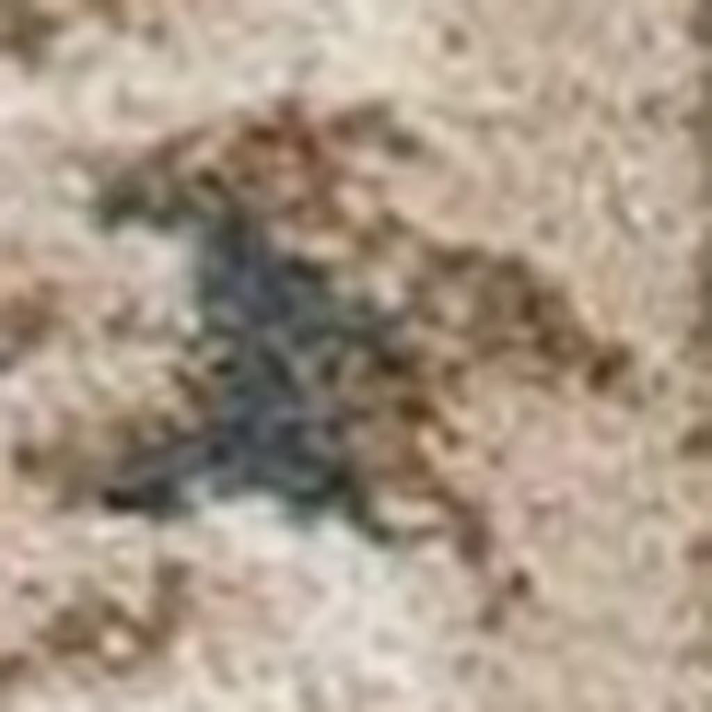 8' Slate Blue Red And Ivory Floral Medallion Round Rug-Area Rugs-DECOROLALA