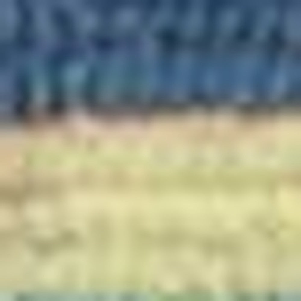 8' X 10' Blue Striped Handmade Indoor Outdoor Area Rug-Outdoor Rugs-DECOROLALA