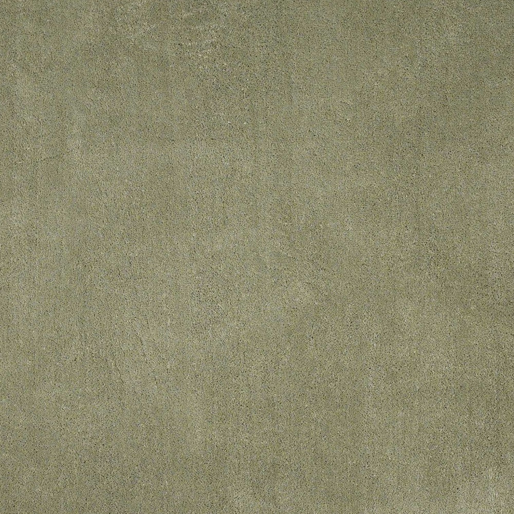 8' X 10' Sage Shag Hand Woven Area Rug-Area Rugs-DECOROLALA