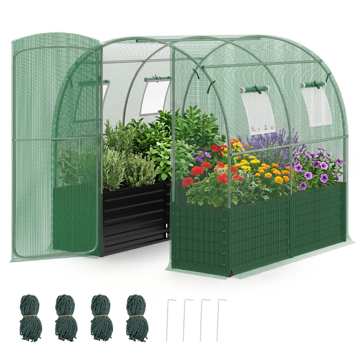 80 x 79 x 79 Inches Walk-in Greenhouse with Large Plant Bed-Green-Greenhouses-DECOROLALA