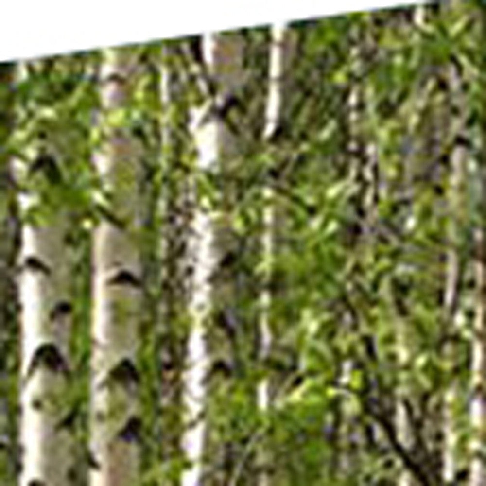84" X 84" Multi Color Wood Canvas Prolific Forrest Screen-Room Dividers-DECOROLALA