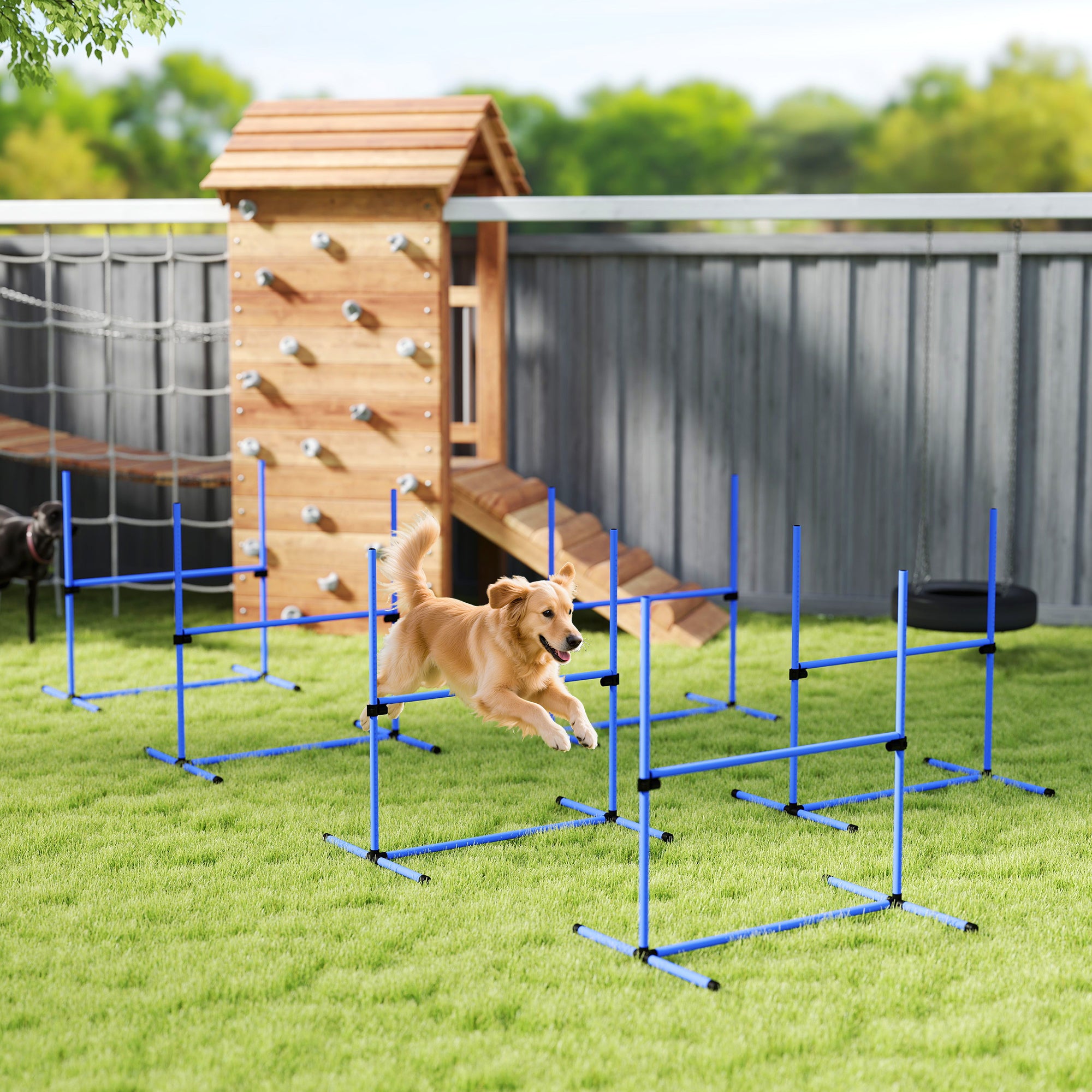 Ensemble de 6 équipements d’entraînement d’agilité pour chiens, barre de saut réglable, kit d’exercice pour animaux avec sac de transport (bleu)