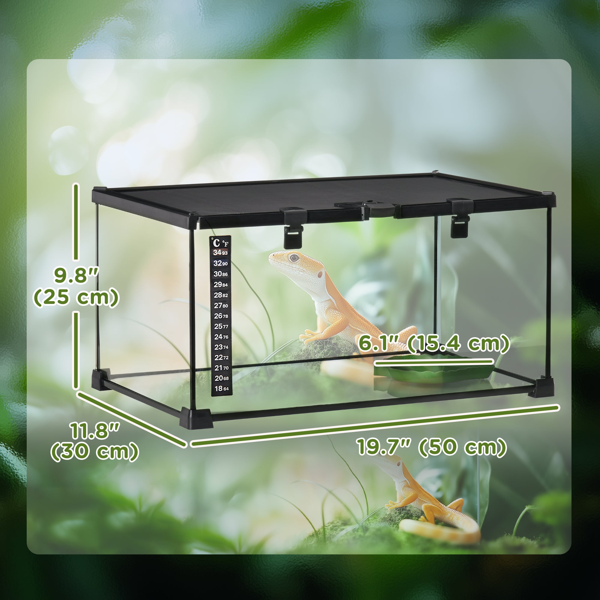 Glass Reptile Terrarium with Thermometer, Water Basin, Full View Visually for Lizards, Horned Frogs, Snakes, Spiders