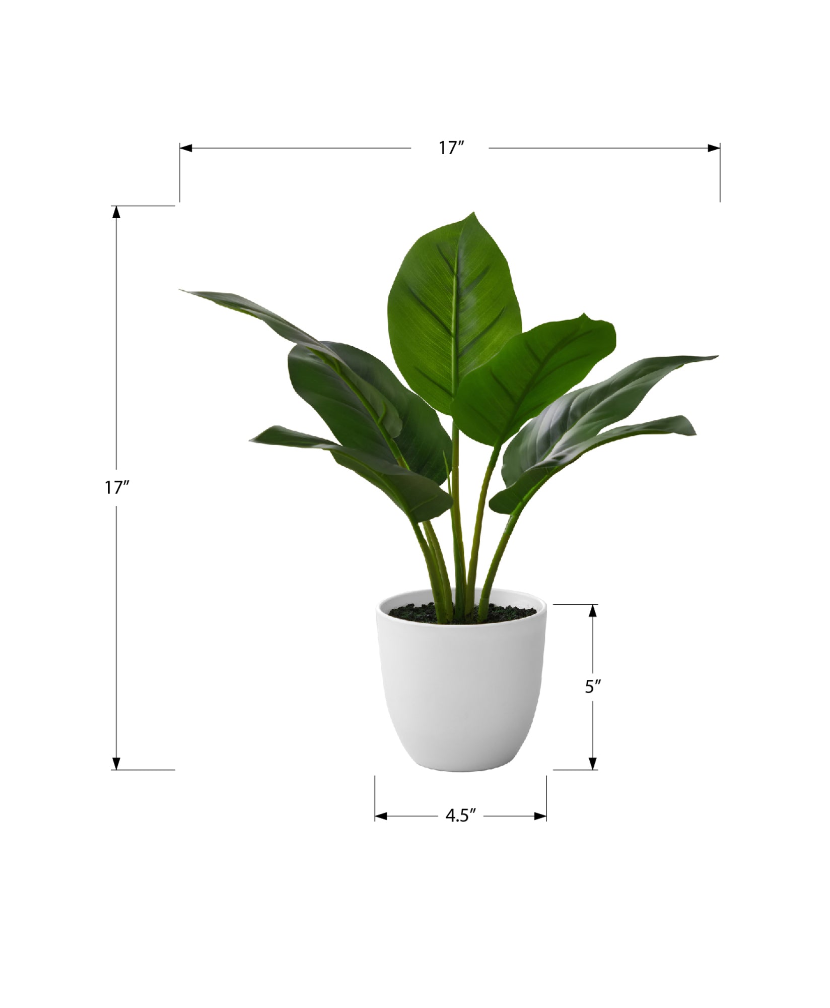 ARTIFICIAL PLANT - 17"H / INDOOR AUREUM IN A 5" POT-Artificial Plant-DECOROLALA