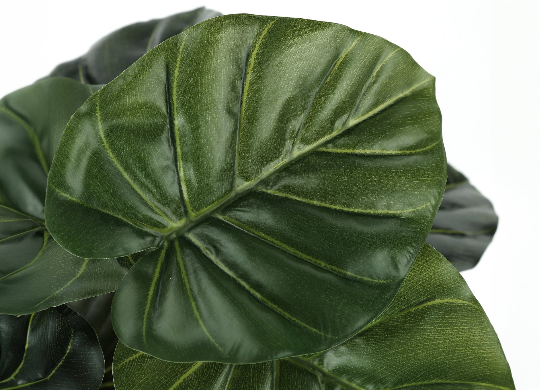 ARTIFICIAL PLANT - 24"H / INDOOR ALOCASIA IN A 5" POT-Artificial Plant-DECOROLALA