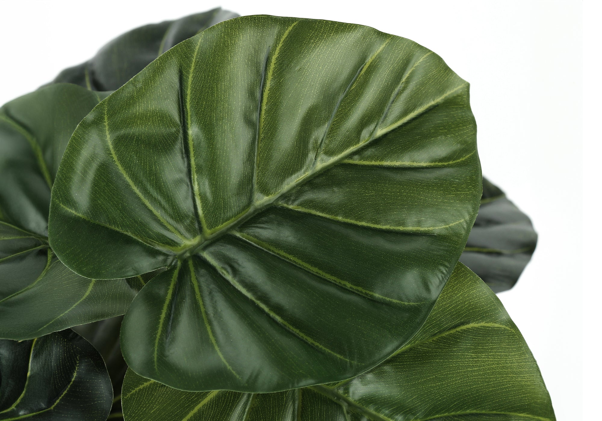 ARTIFICIAL PLANT - 24"H / INDOOR ALOCASIA IN A 5" POT-Artificial Plant-DECOROLALA