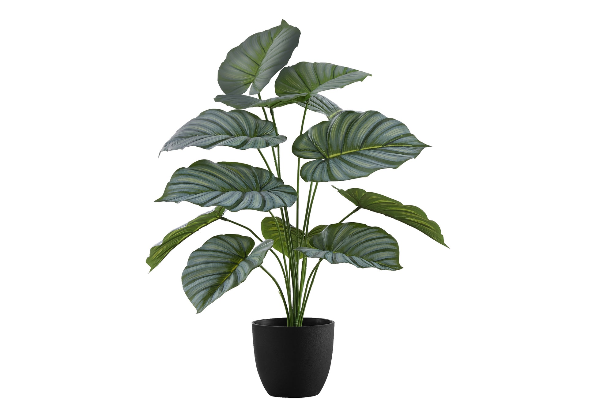 ARTIFICIAL PLANT - 24"H / INDOOR CALATHEA IN A 5" POT-Artificial Plant-DECOROLALA