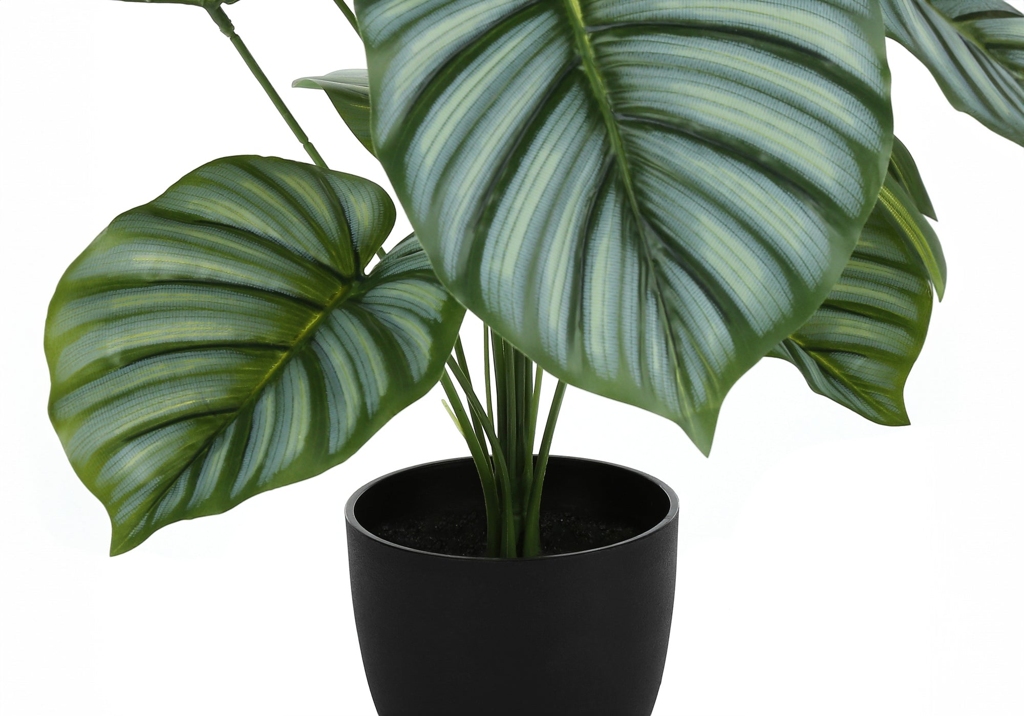 ARTIFICIAL PLANT - 24"H / INDOOR CALATHEA IN A 5" POT-Artificial Plant-DECOROLALA