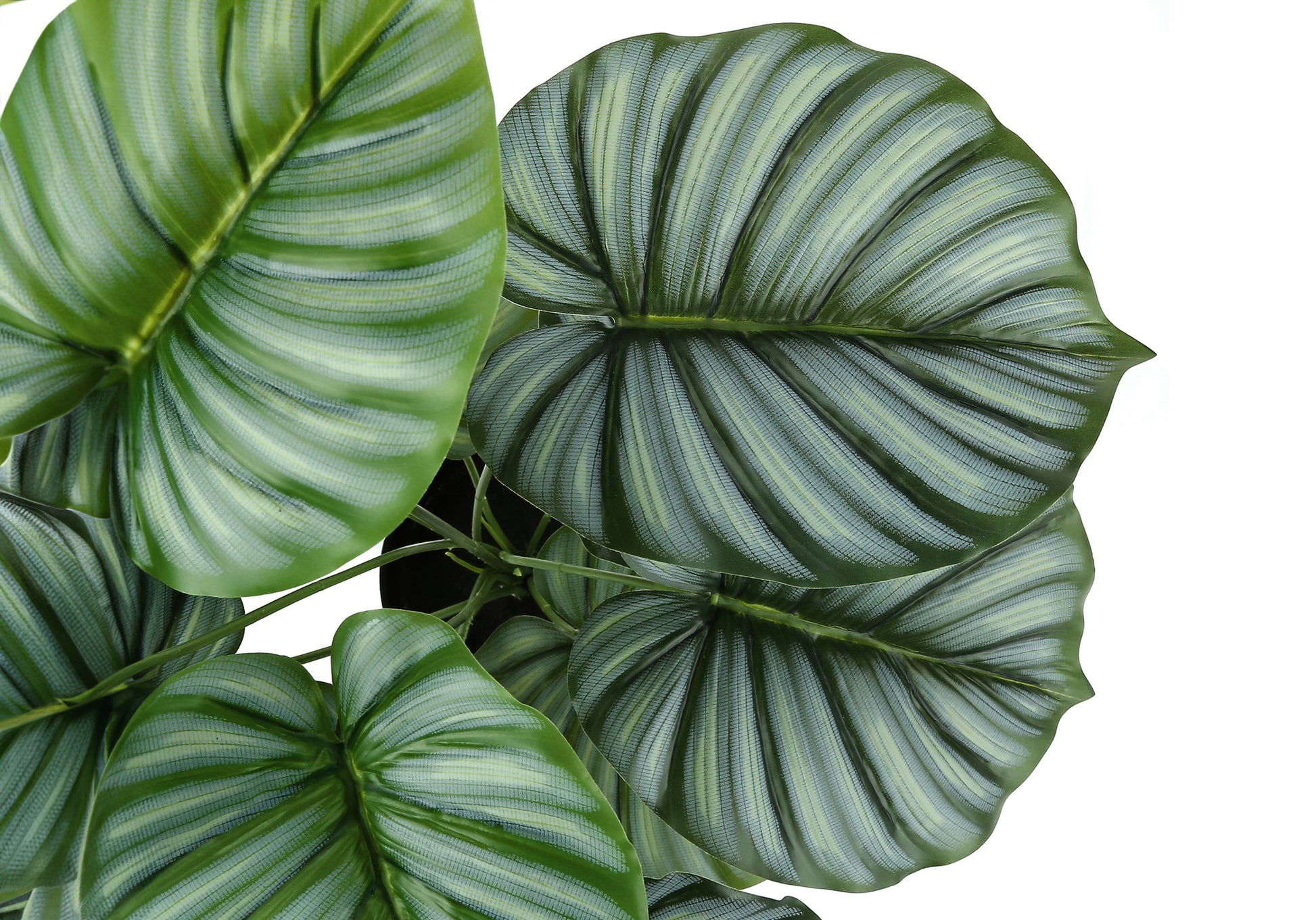 ARTIFICIAL PLANT - 24"H / INDOOR CALATHEA IN A 5" POT-Artificial Plant-DECOROLALA
