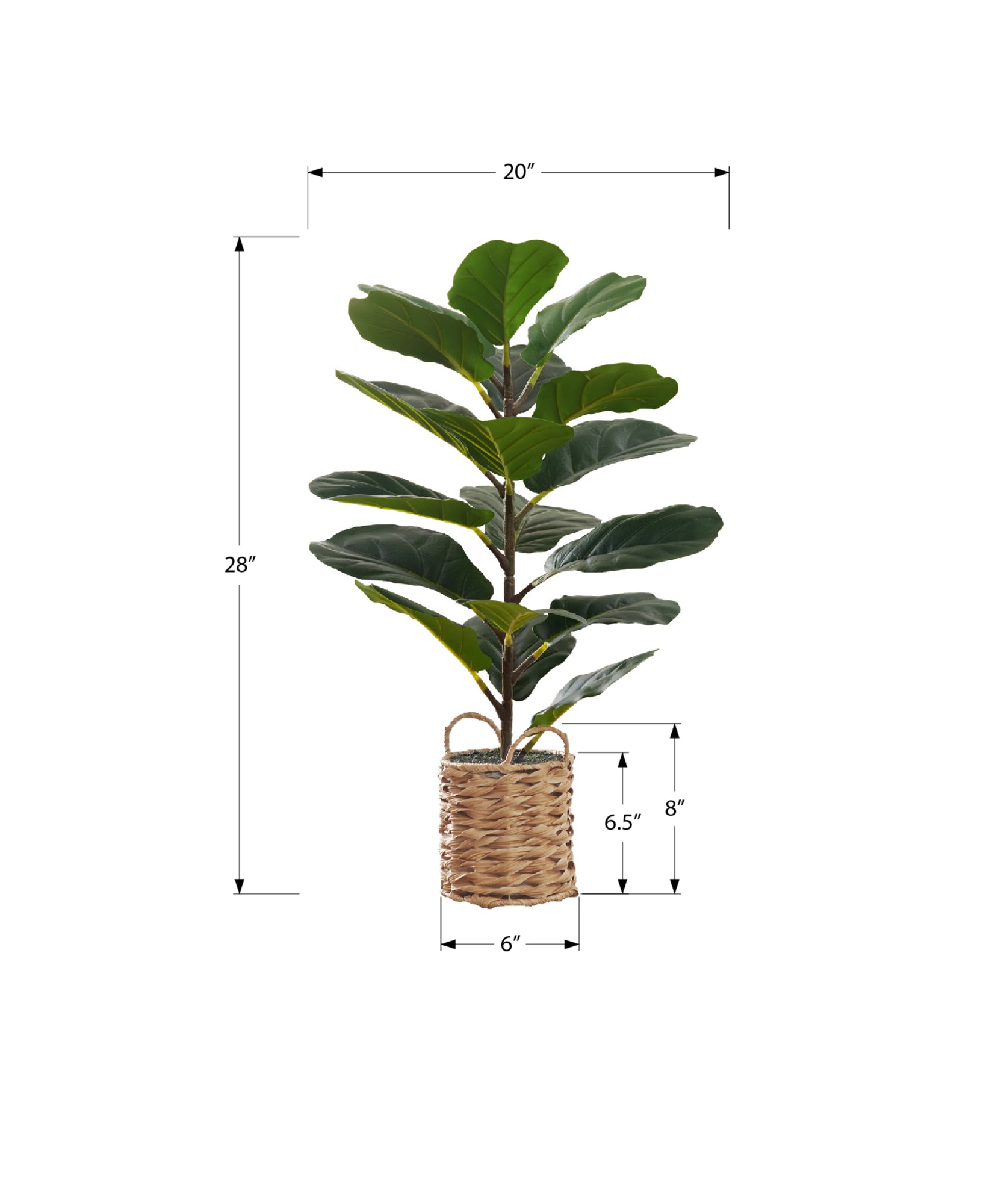 ARTIFICIAL PLANT - 28"H / INDOOR FIDDLE / 8" WOVEN BASKET-Artificial Plant-DECOROLALA