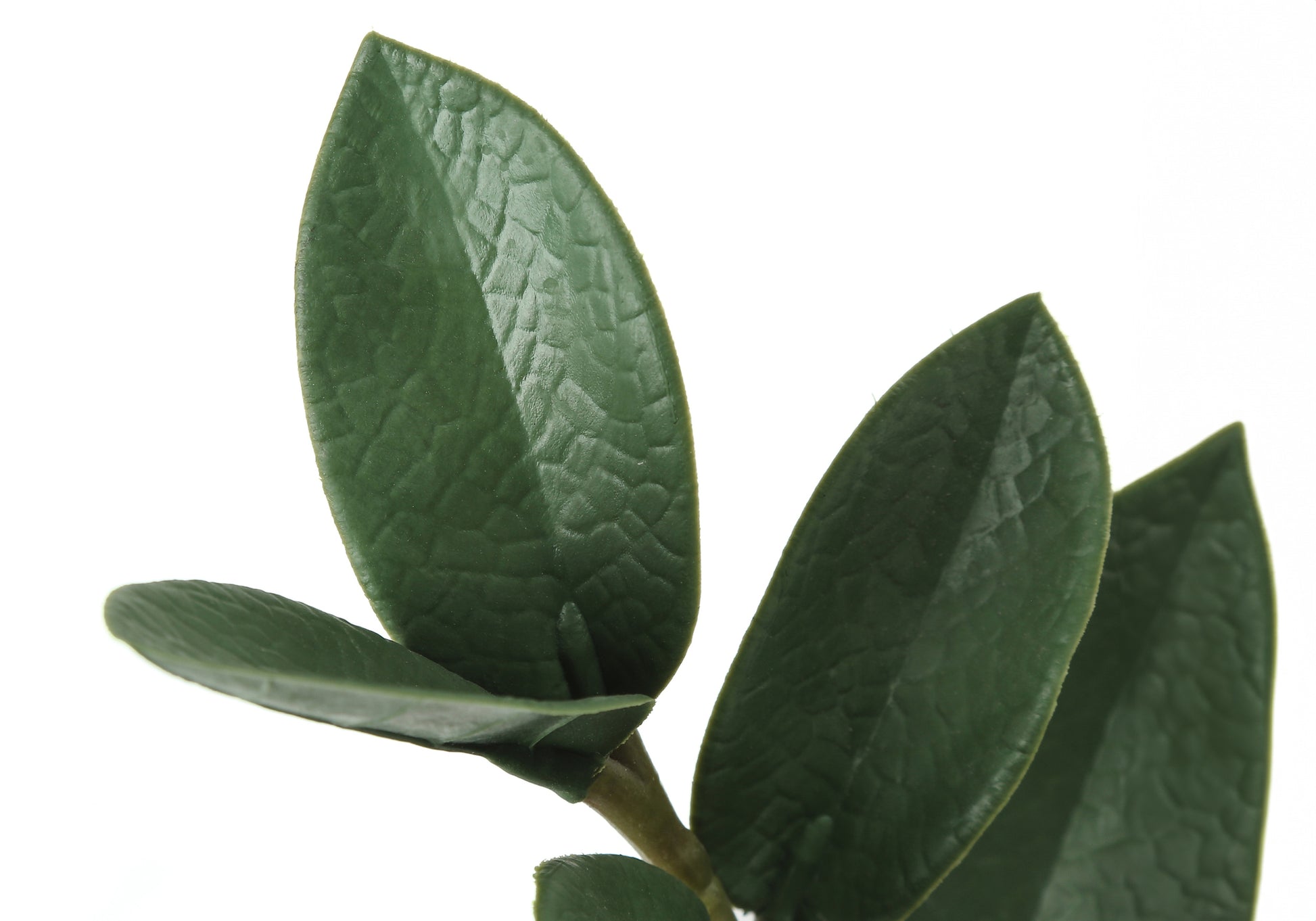 ARTIFICIAL PLANT - 29"H / INDOOR ZZ IN A 6" POT-Artificial Plant-DECOROLALA