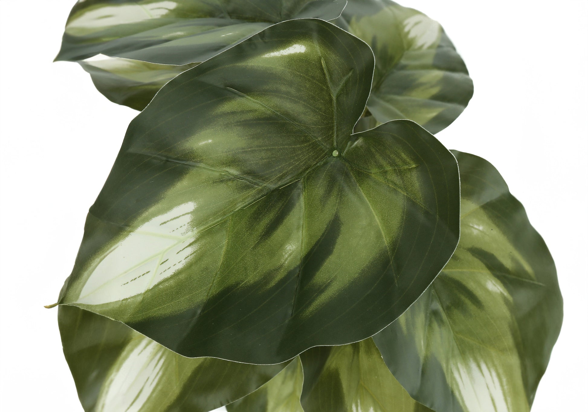 ARTIFICIAL PLANT - 2PCS / 13"H MONSTERA/CALATHEA/ 4" POT-Artificial Plant-DECOROLALA