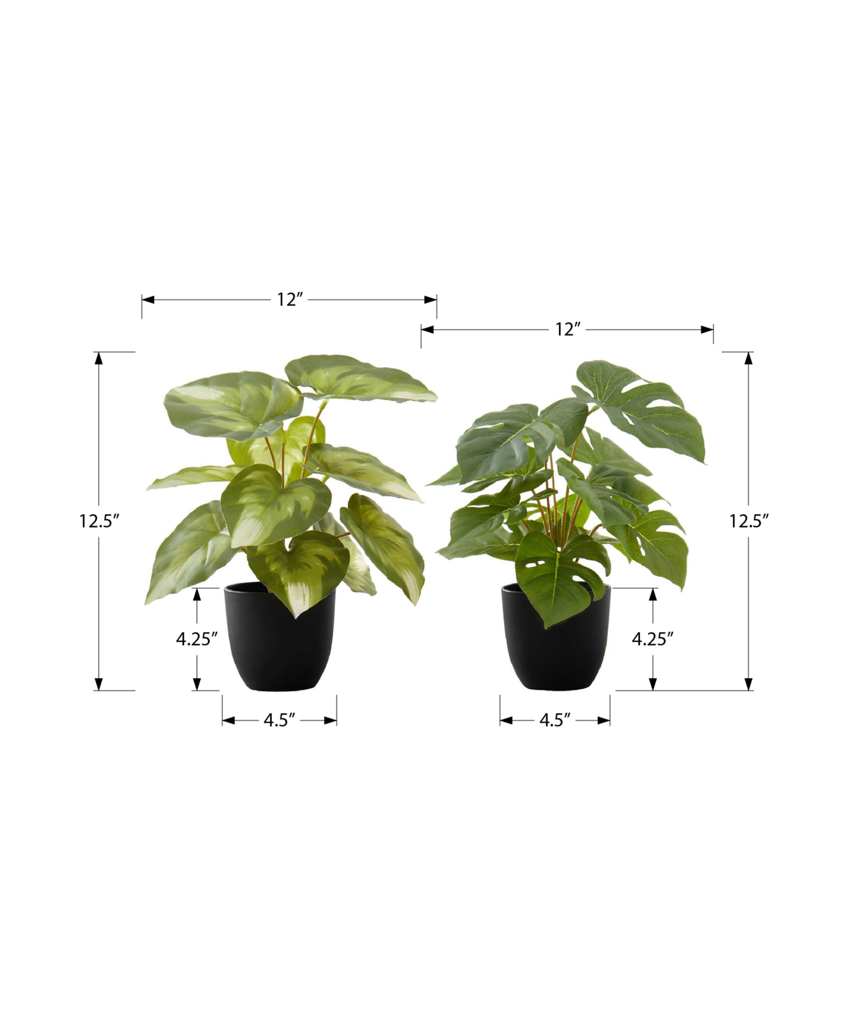 ARTIFICIAL PLANT - 2PCS / 13"H MONSTERA/CALATHEA/ 4" POT-Artificial Plant-DECOROLALA