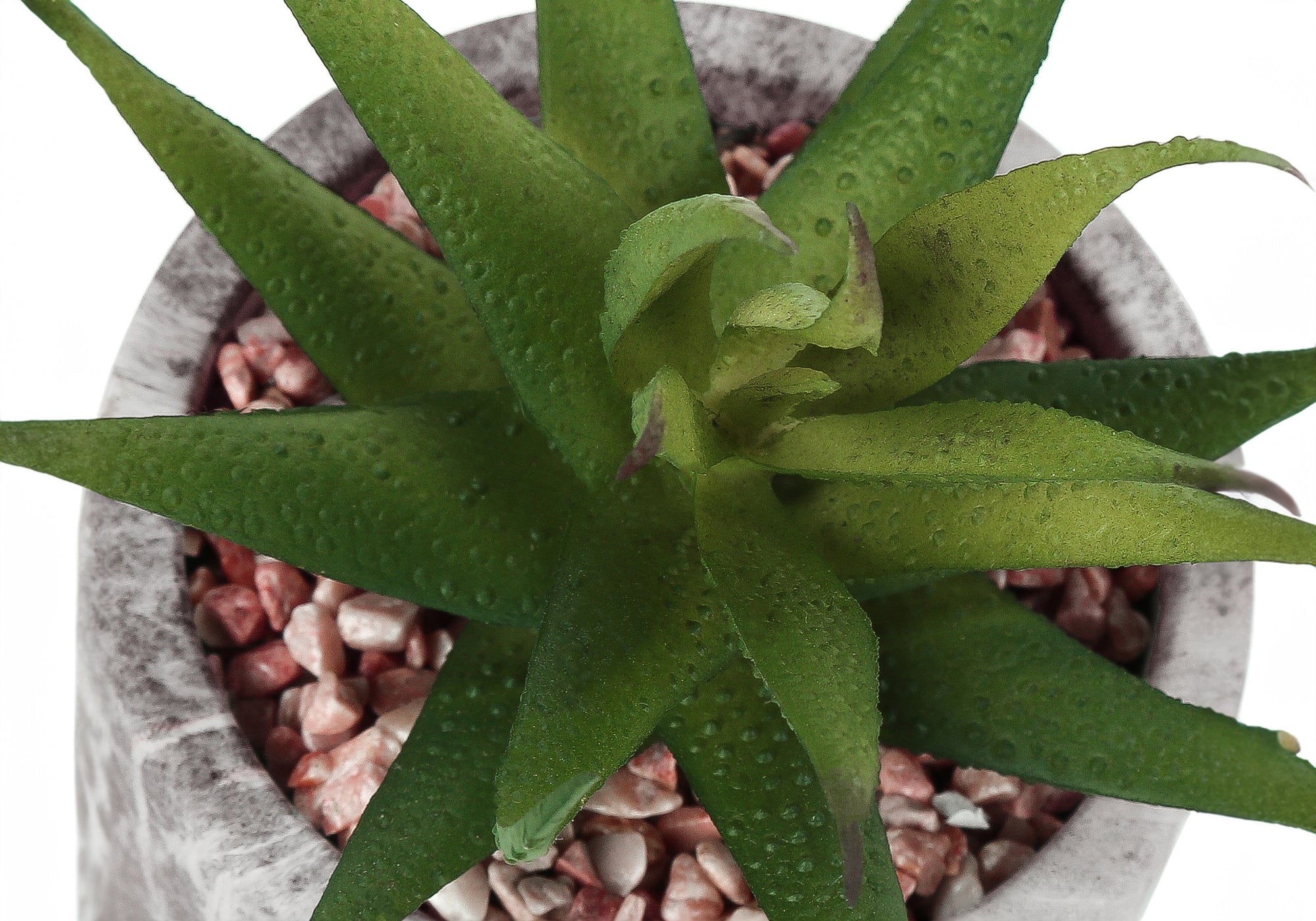 ARTIFICIAL PLANT - 2PCS / 7"H SUCCULENT IN 4" CEMENT POT-Artificial Plant-DECOROLALA