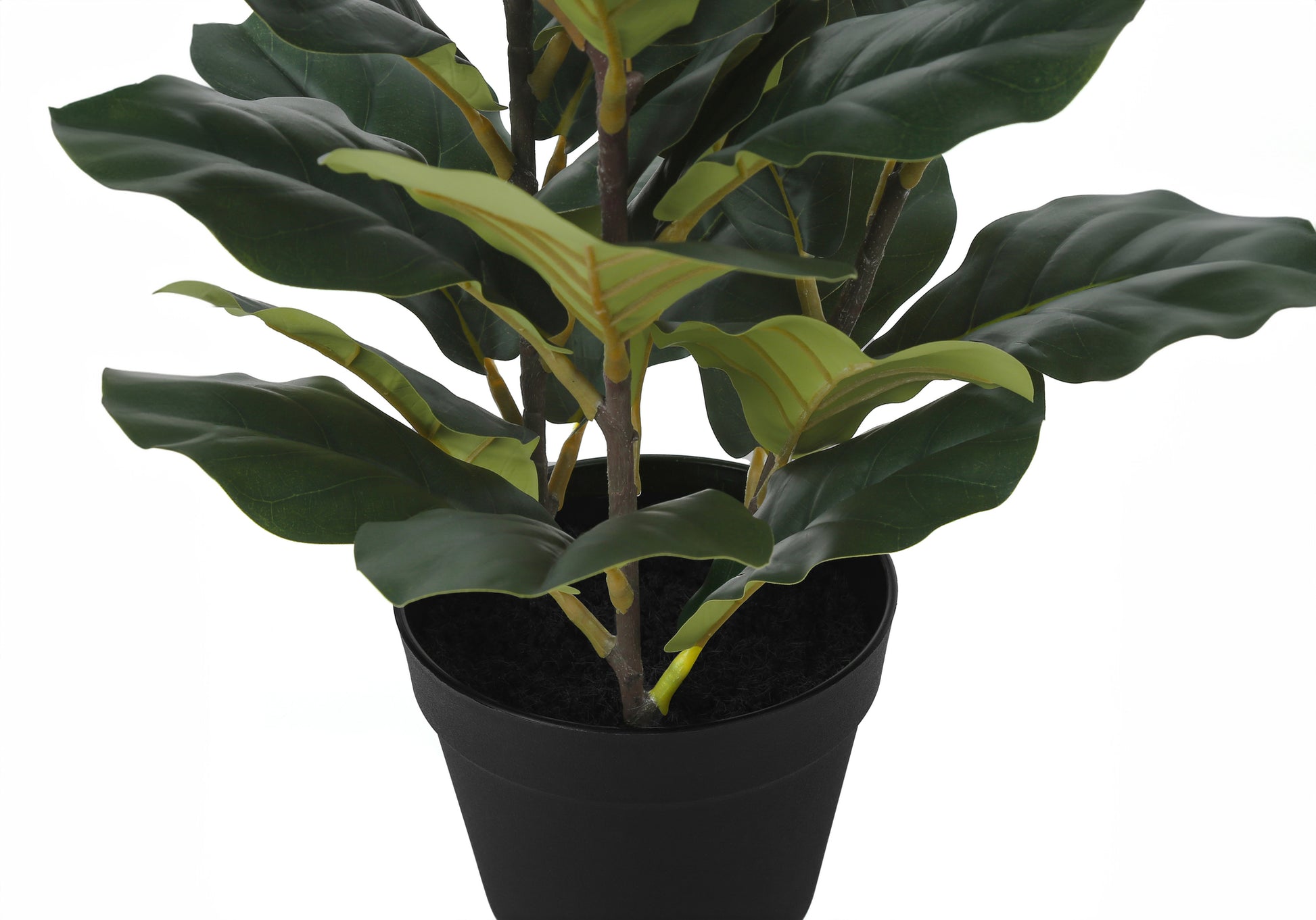 ARTIFICIAL PLANT - 32"H / INDOOR FIDDLE IN A 6" POT-Artificial Plant-DECOROLALA