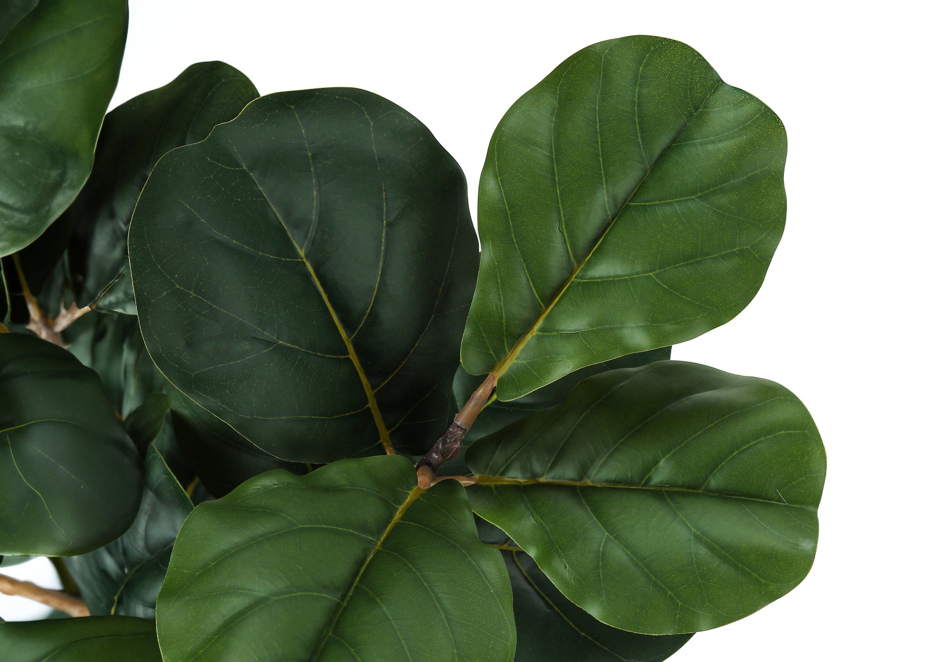 ARTIFICIAL PLANT - 32"H / INDOOR FIDDLE IN A 6" POT-Artificial Plant-DECOROLALA