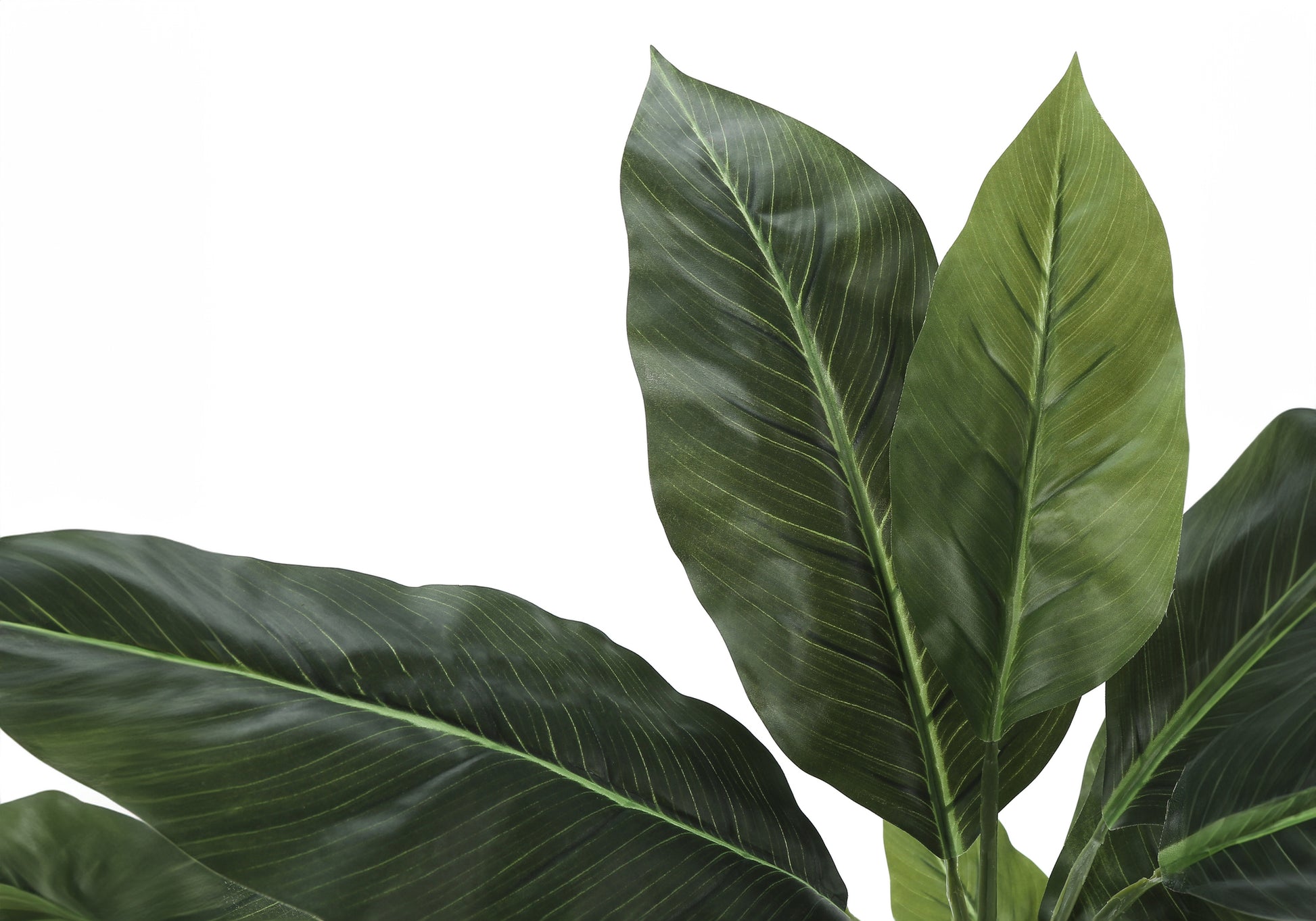 ARTIFICIAL PLANT - 42"H / INDOOR EVERGREEN IN A 5" POT-Artificial Plant-DECOROLALA